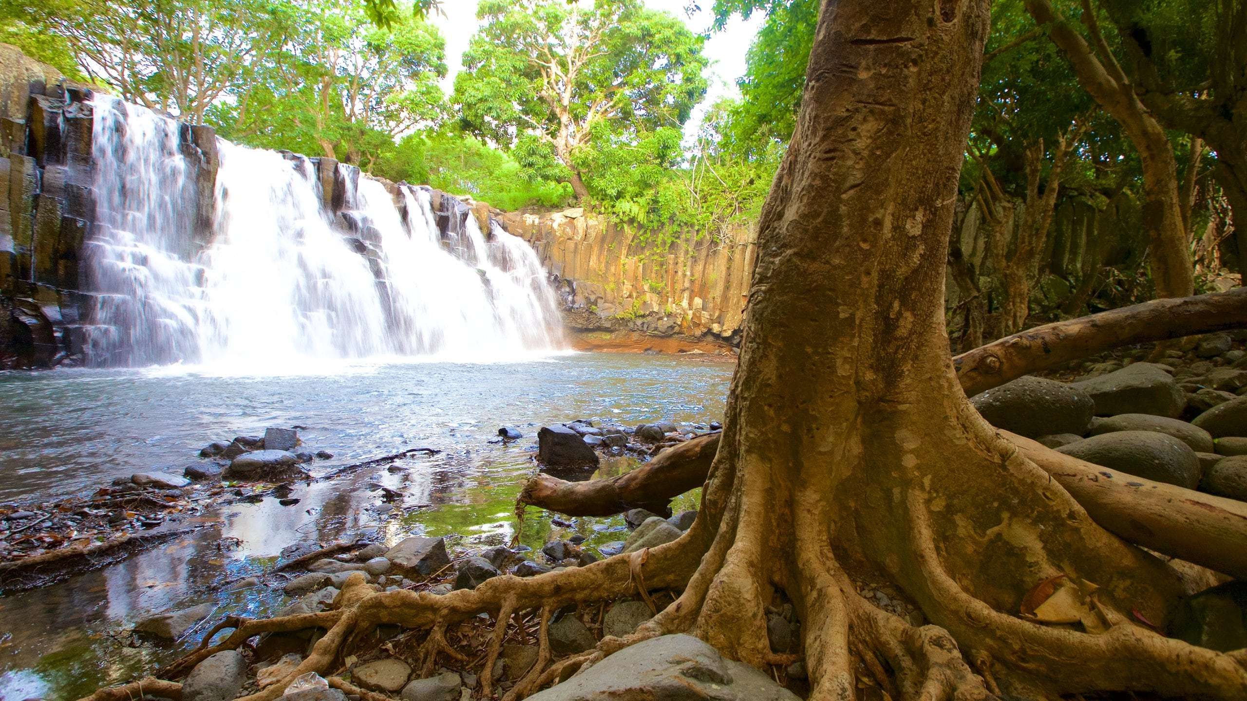 Black River Gorges National Park, Mauritius
