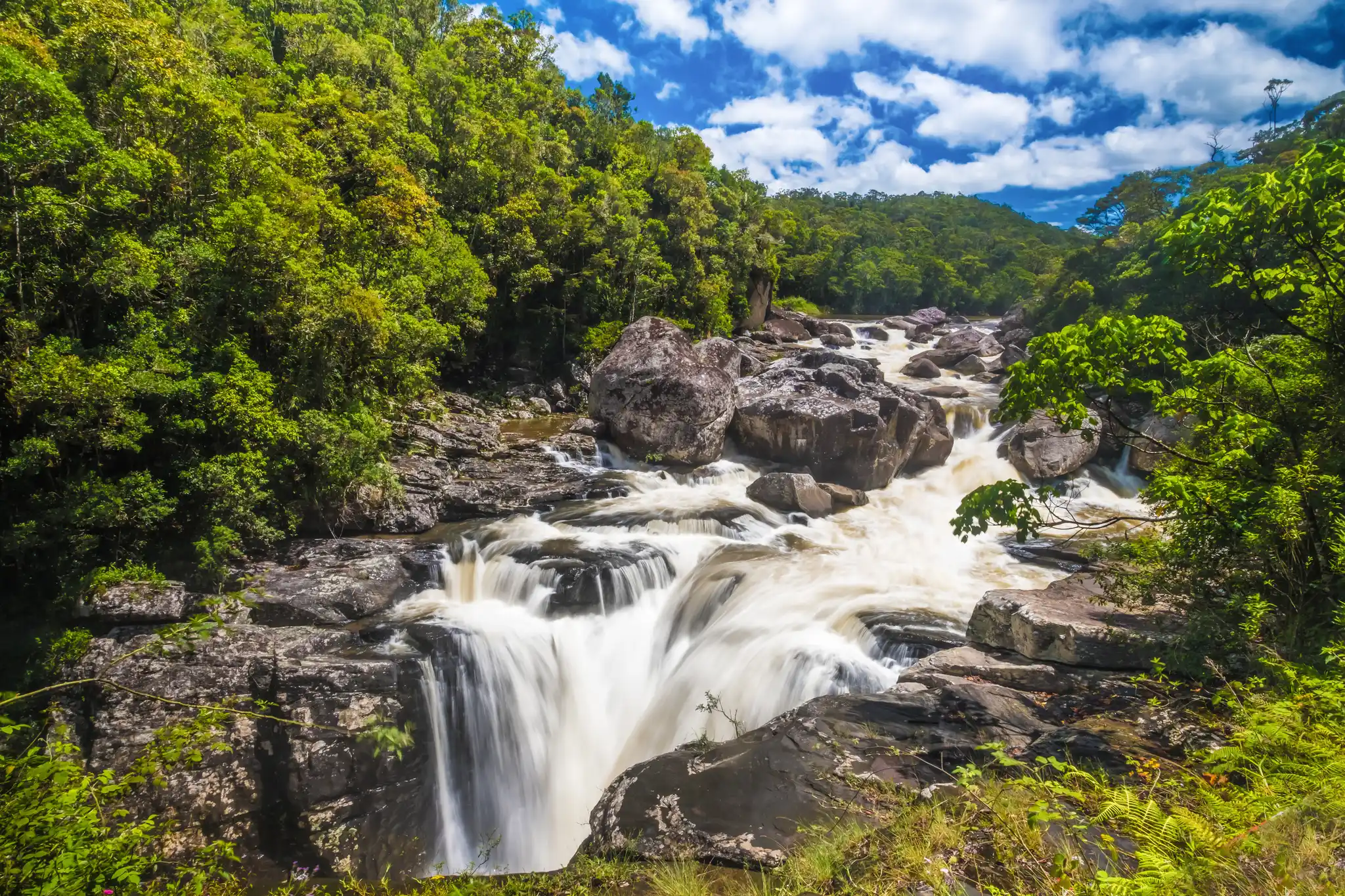 Ranomafana National Park, Madagascar