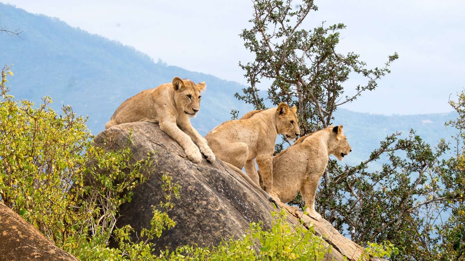 Queen Elizabeth National Park, Uganda