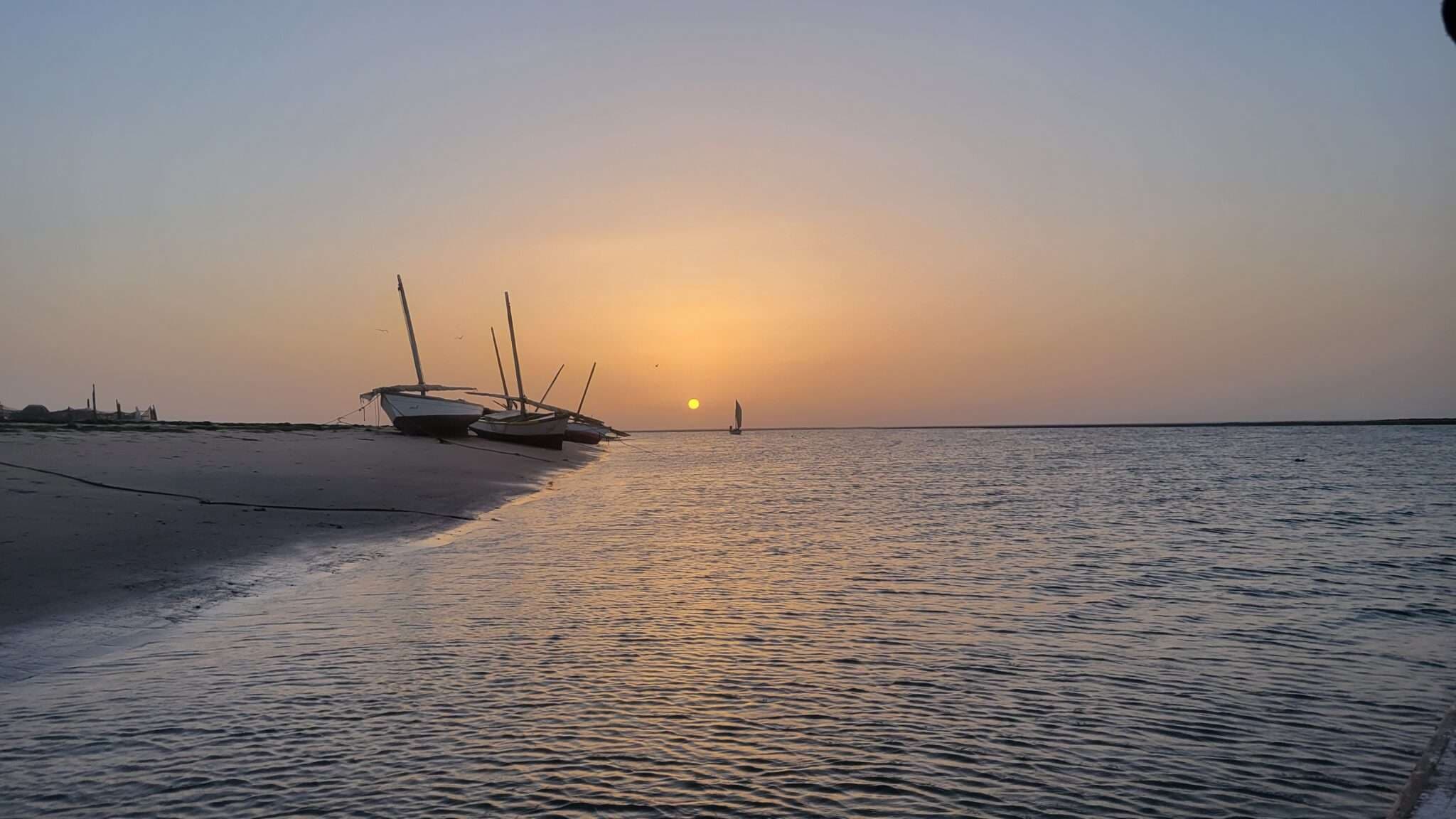 Banc d’Arguin National Park, Mauritania