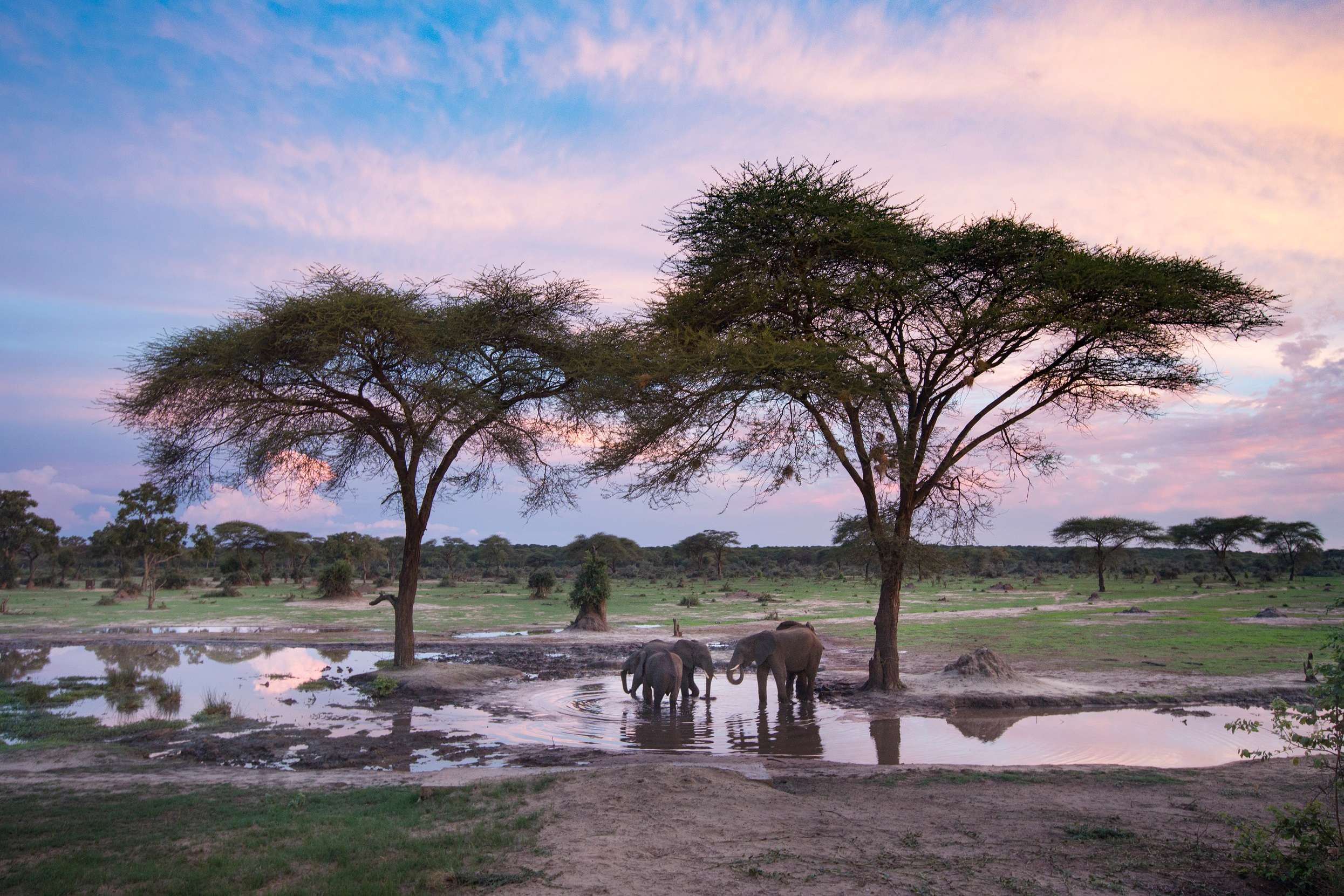 Hwange National Park, Zimbabwe