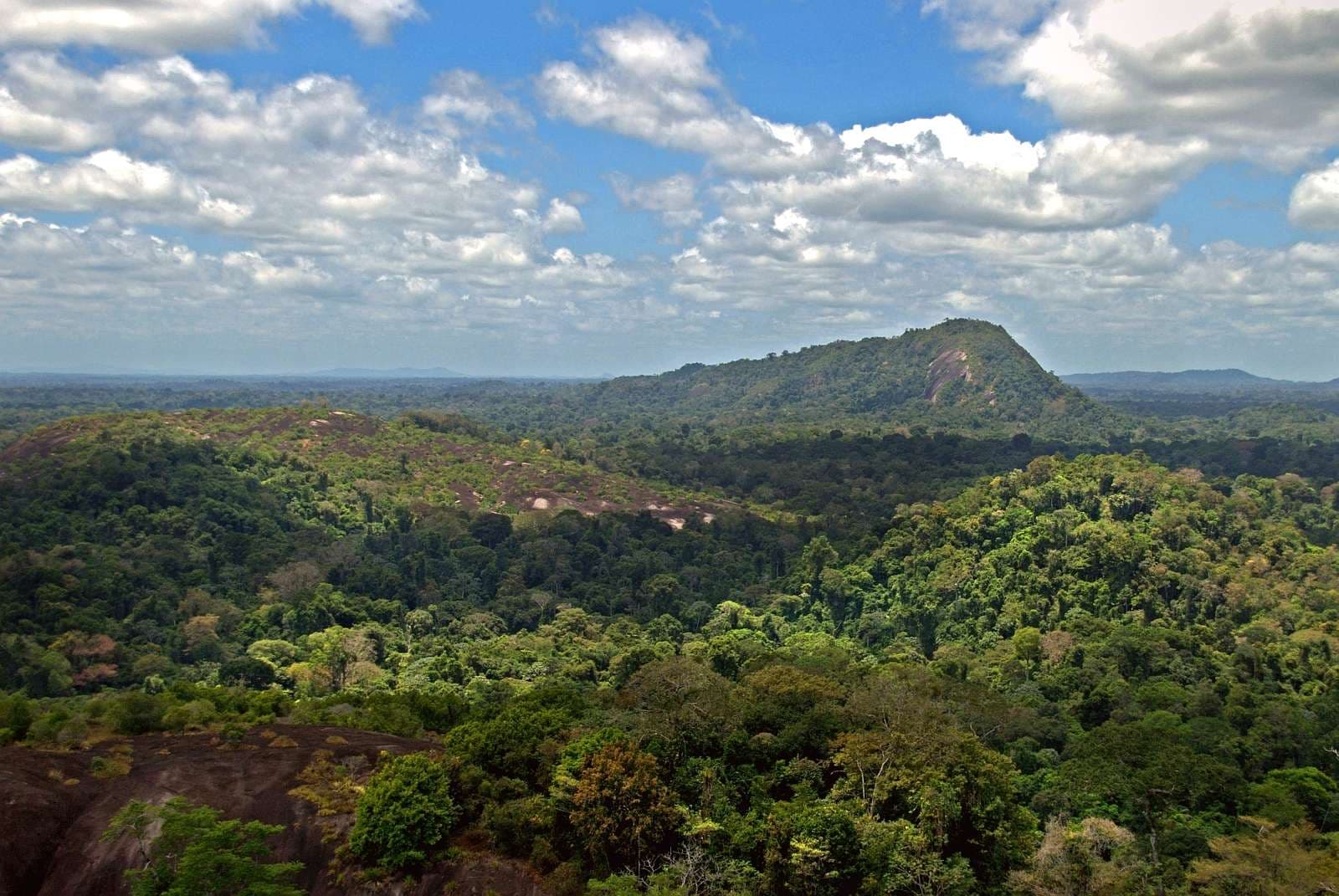 Central Suriname Nature Reserve, Suriname