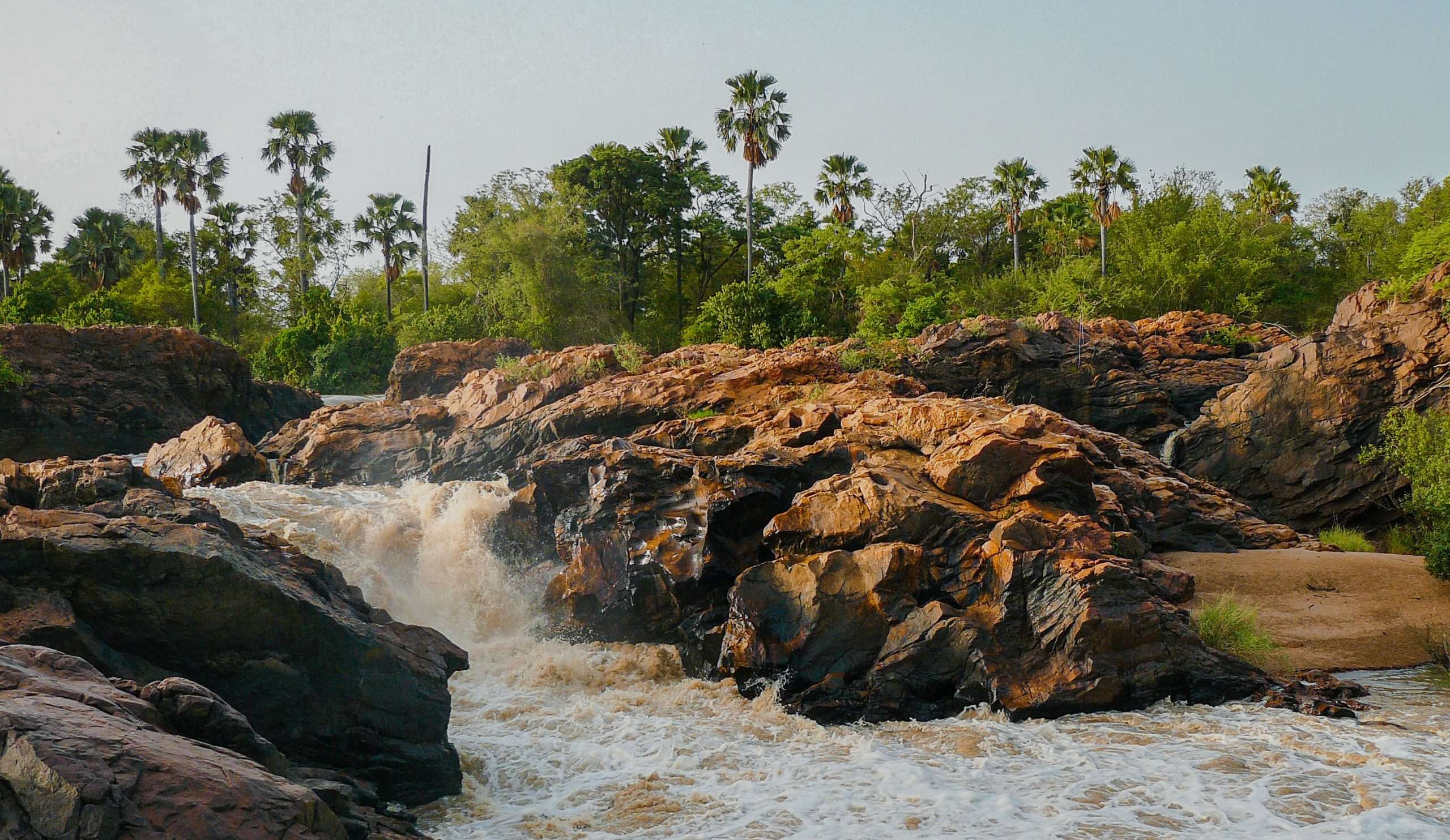 Arli National Park, Burkina Faso