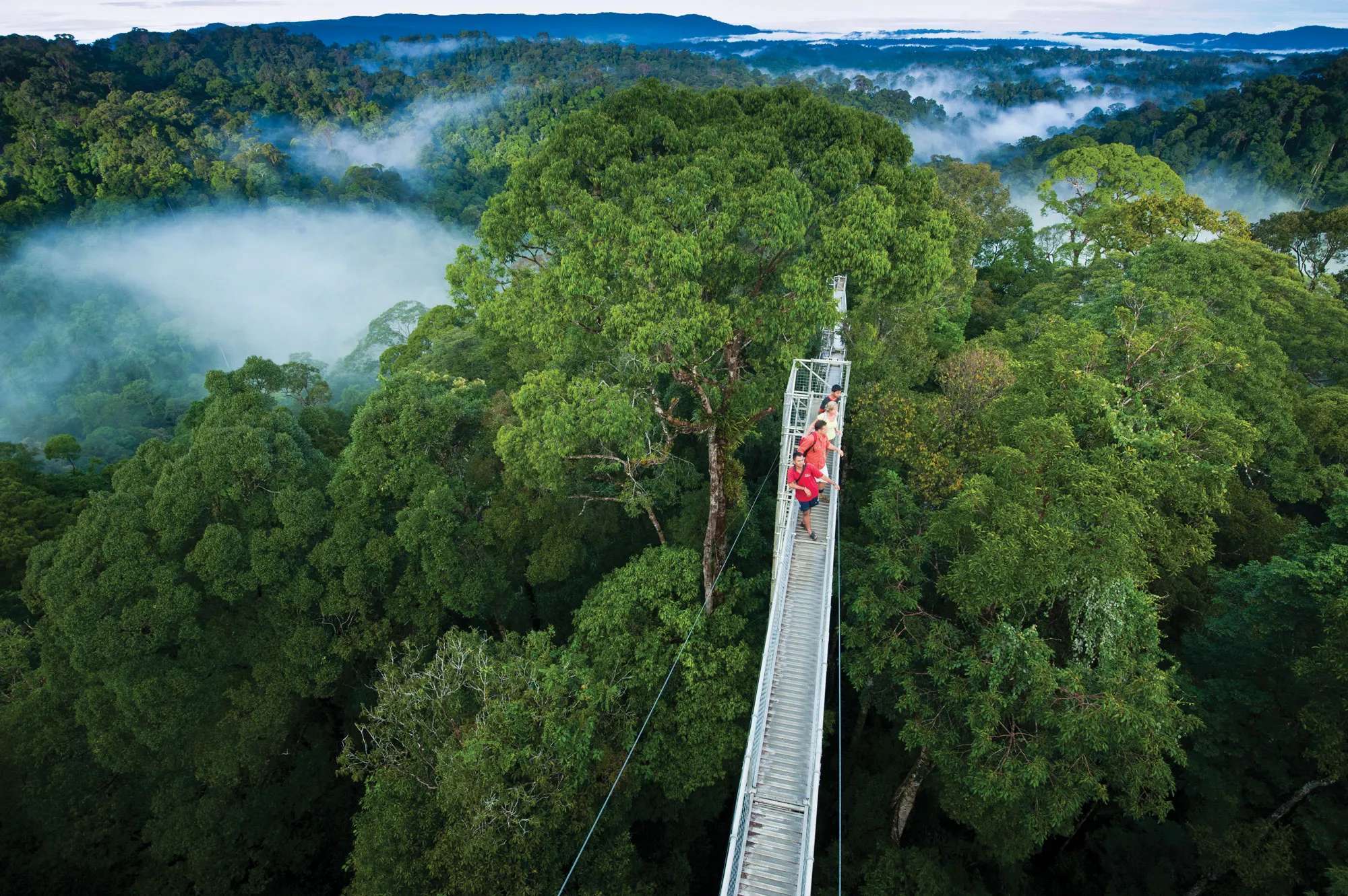Ulu Temburong National Park, Brunei Darussalam