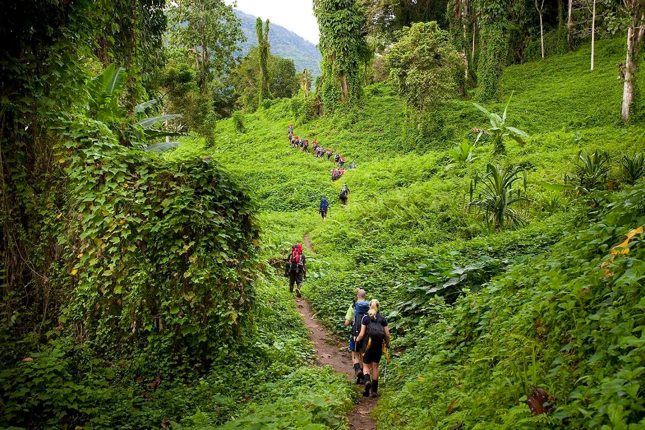 Kokoda Track, Papua New Guinea