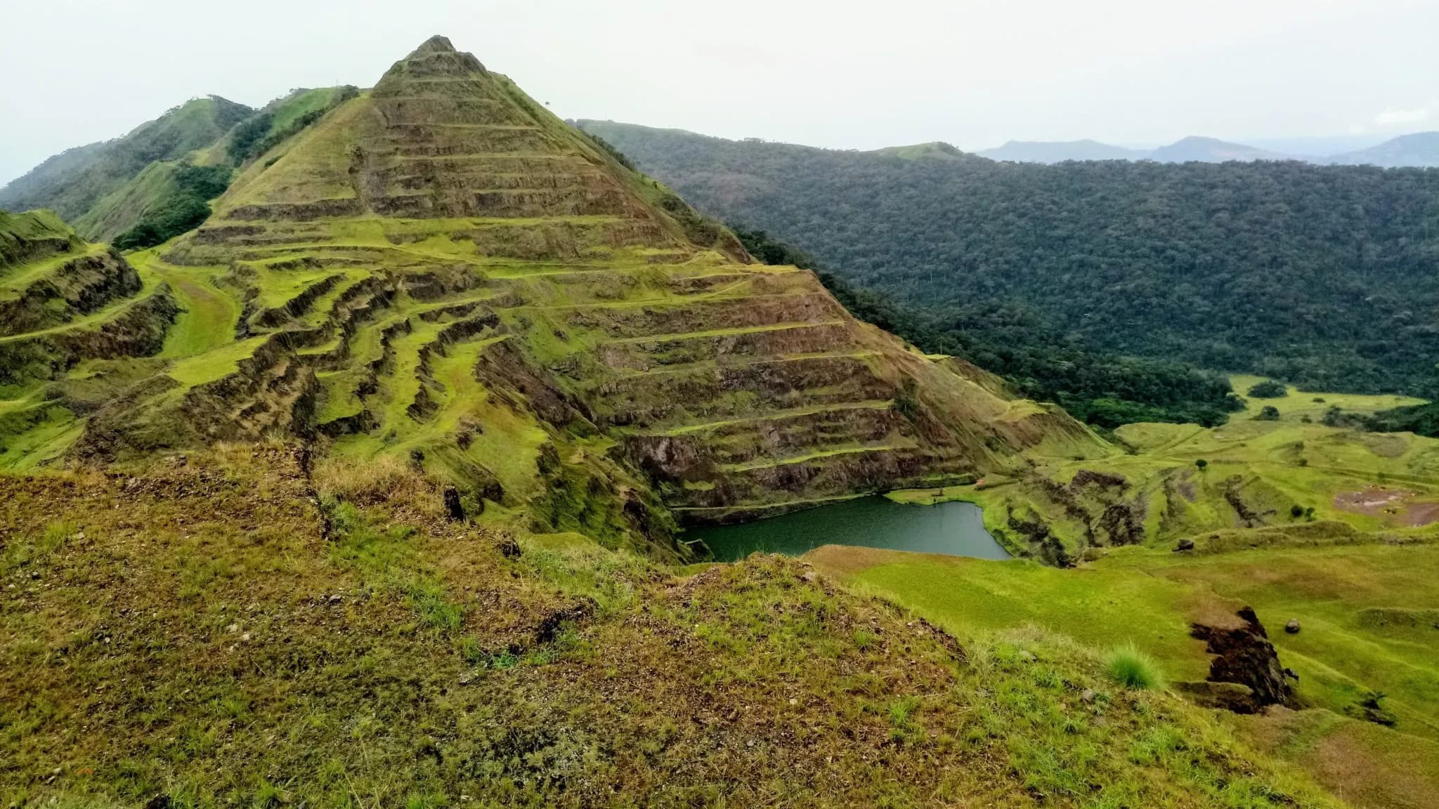 Mount Nimba Strict Nature Reserve, Guinea