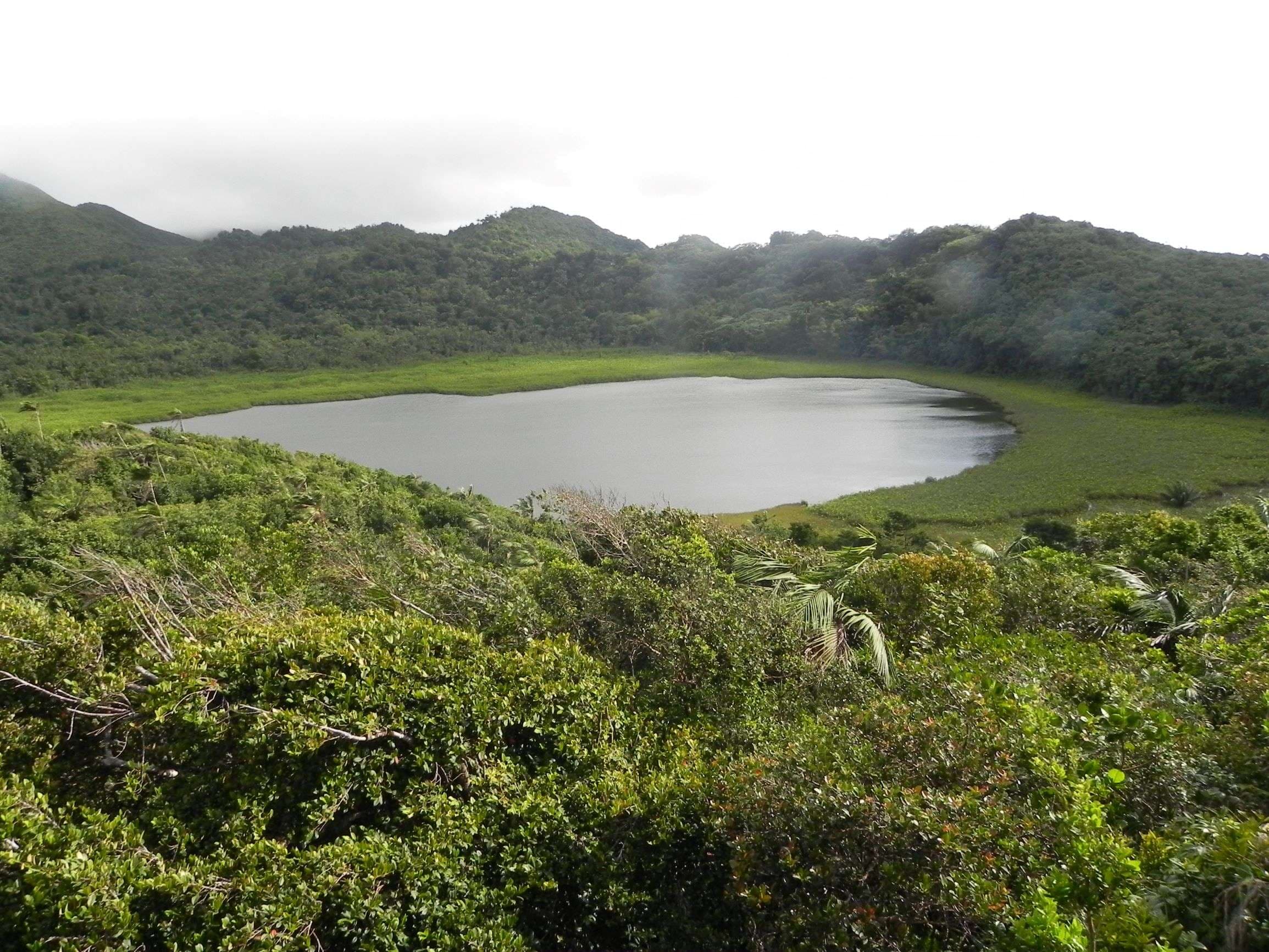 Grand Etang National Park, Grenada