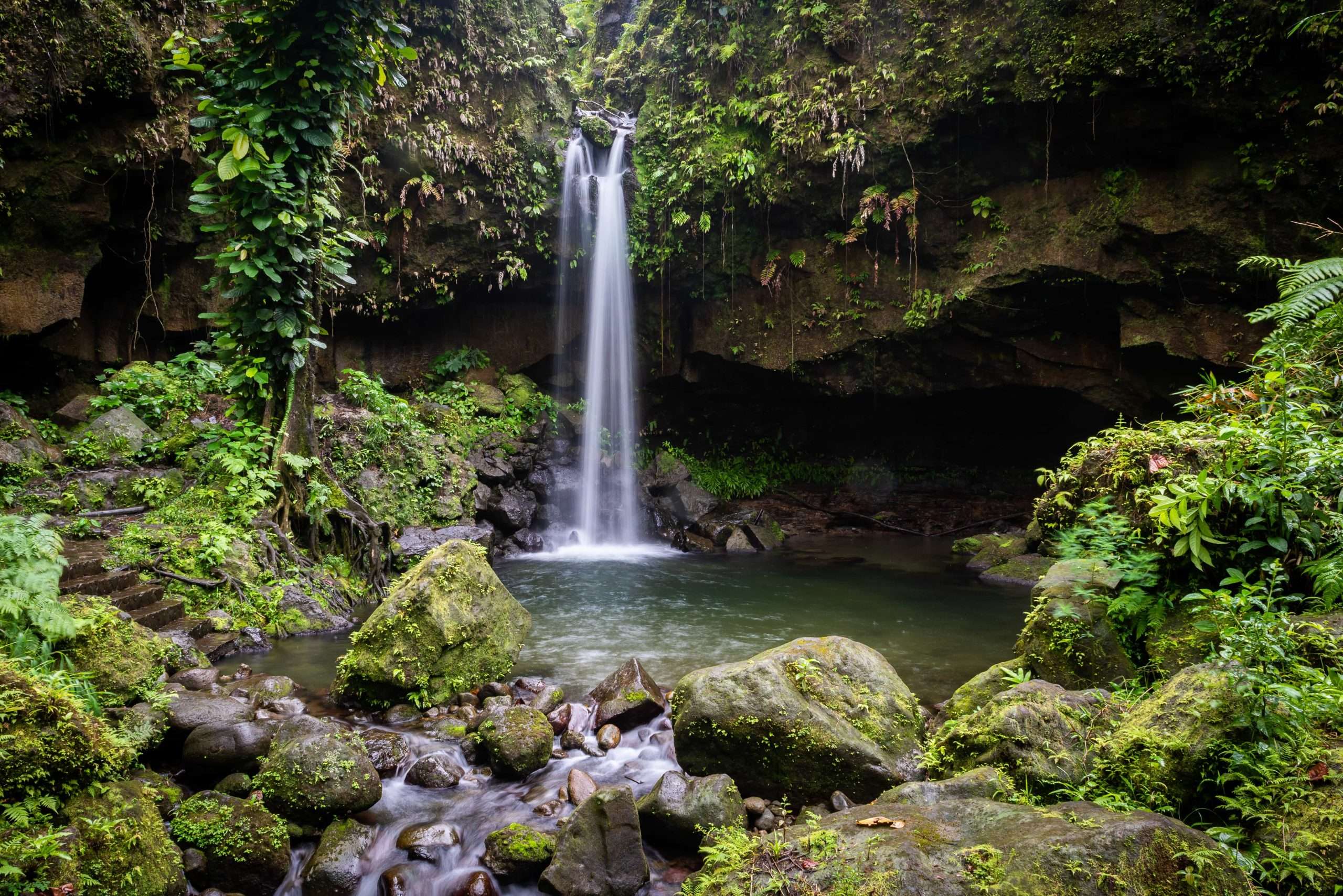 Emerald Pool, Dominica