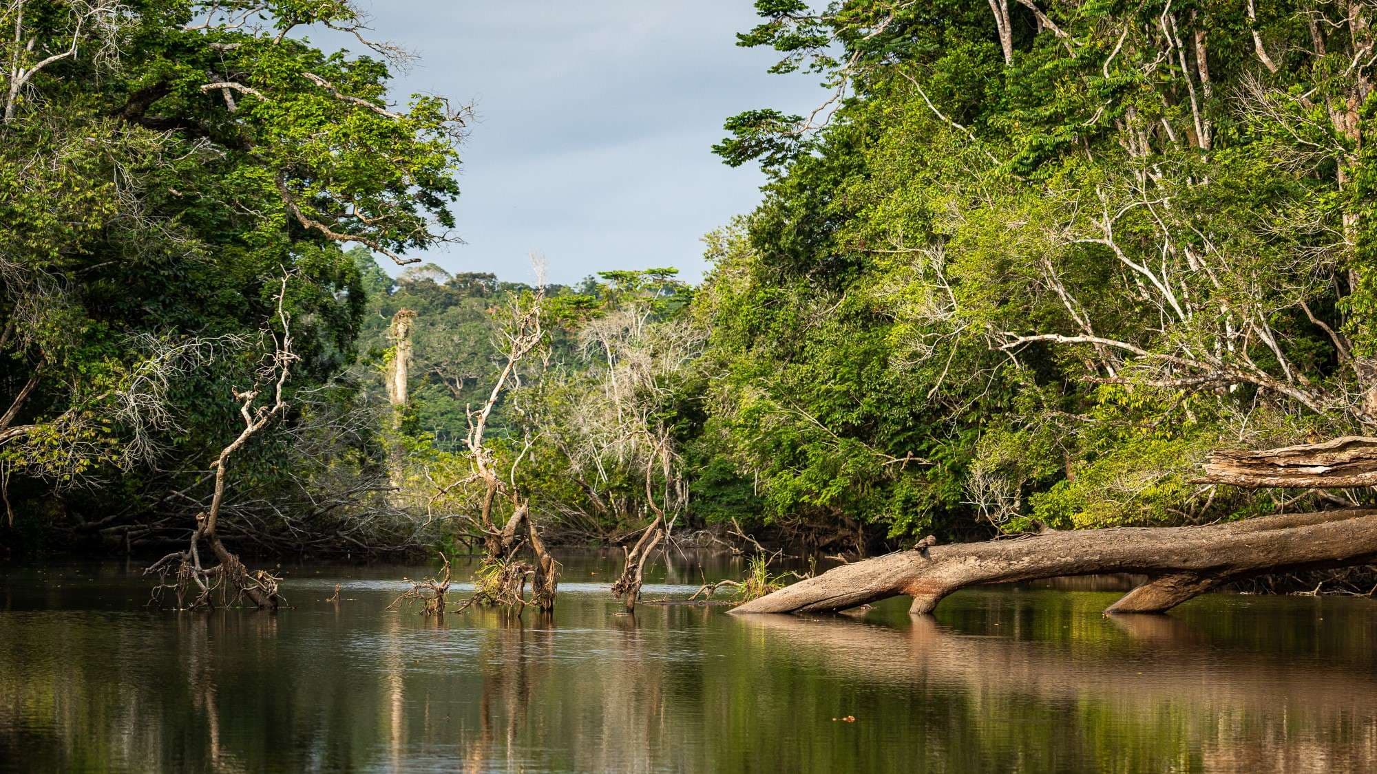 Loango National Park, Gabon