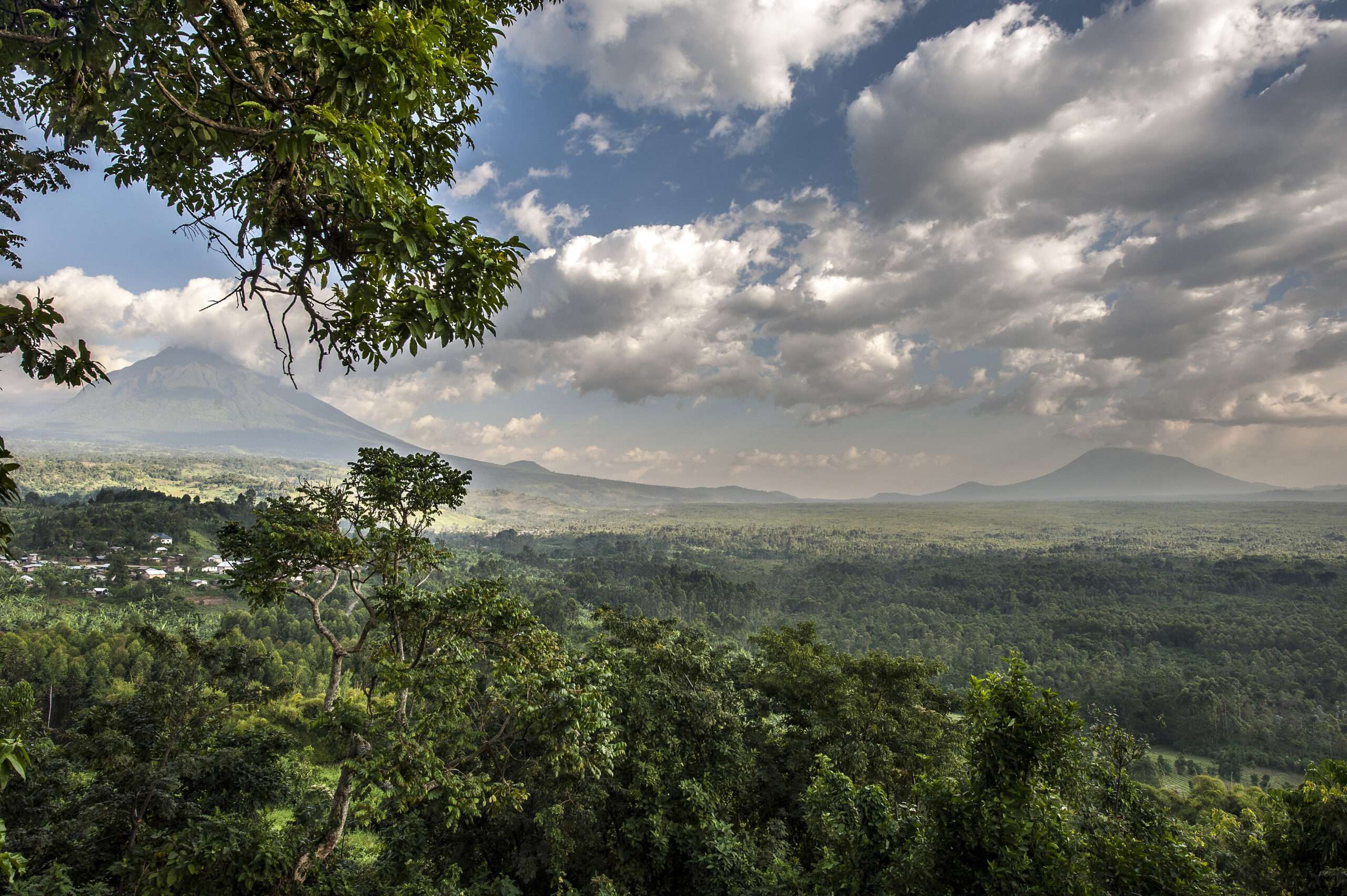 Virunga National Park, Congo DR