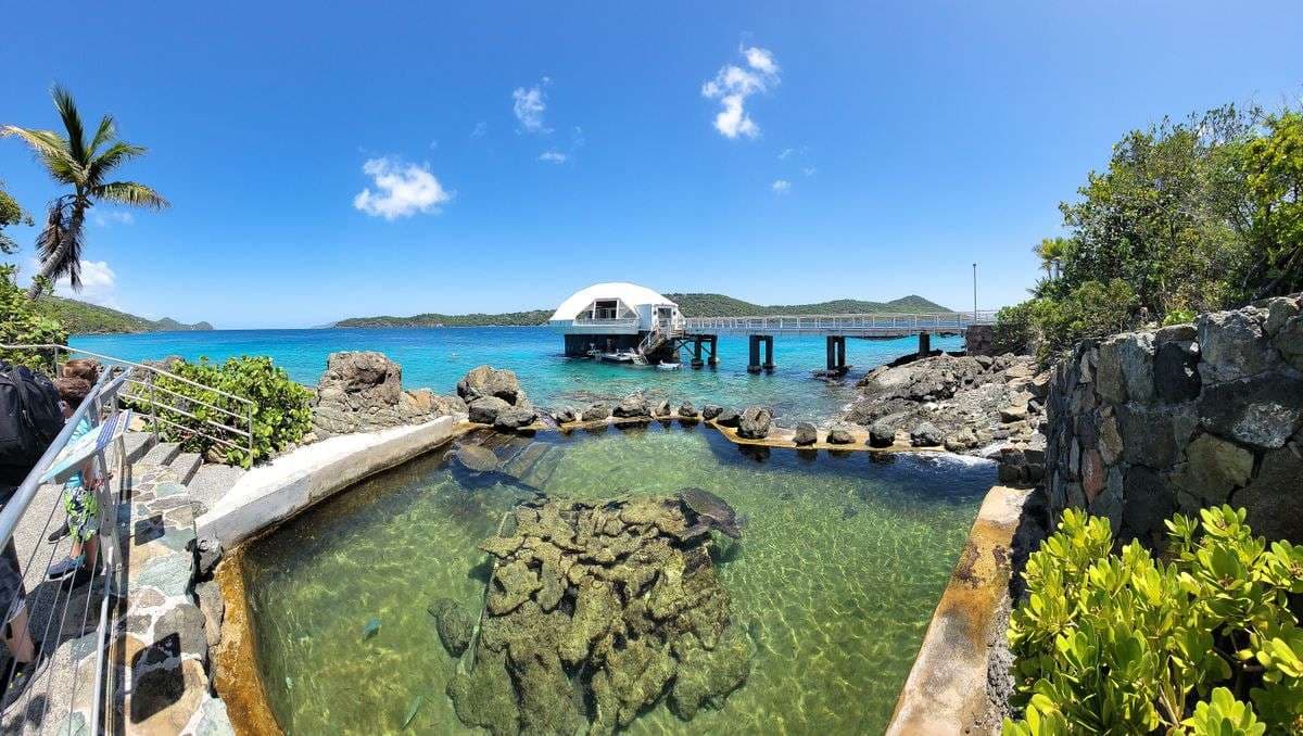 Coral World Ocean Park, US Virgin Islands