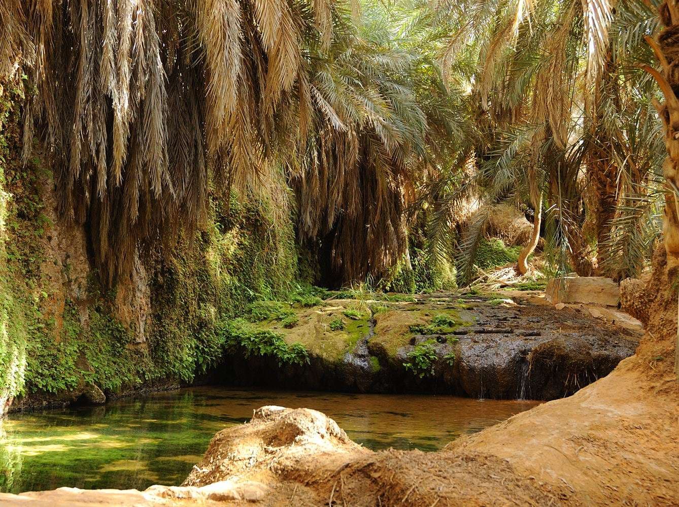 Terjit Oasis, Mauritania