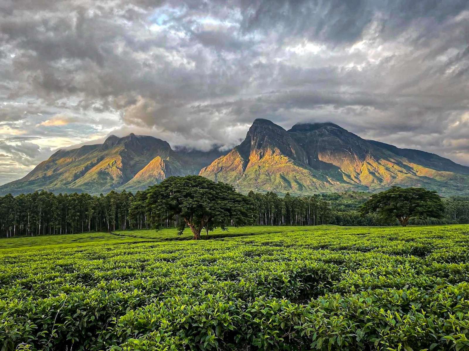 Mount Mulanje, Malawi