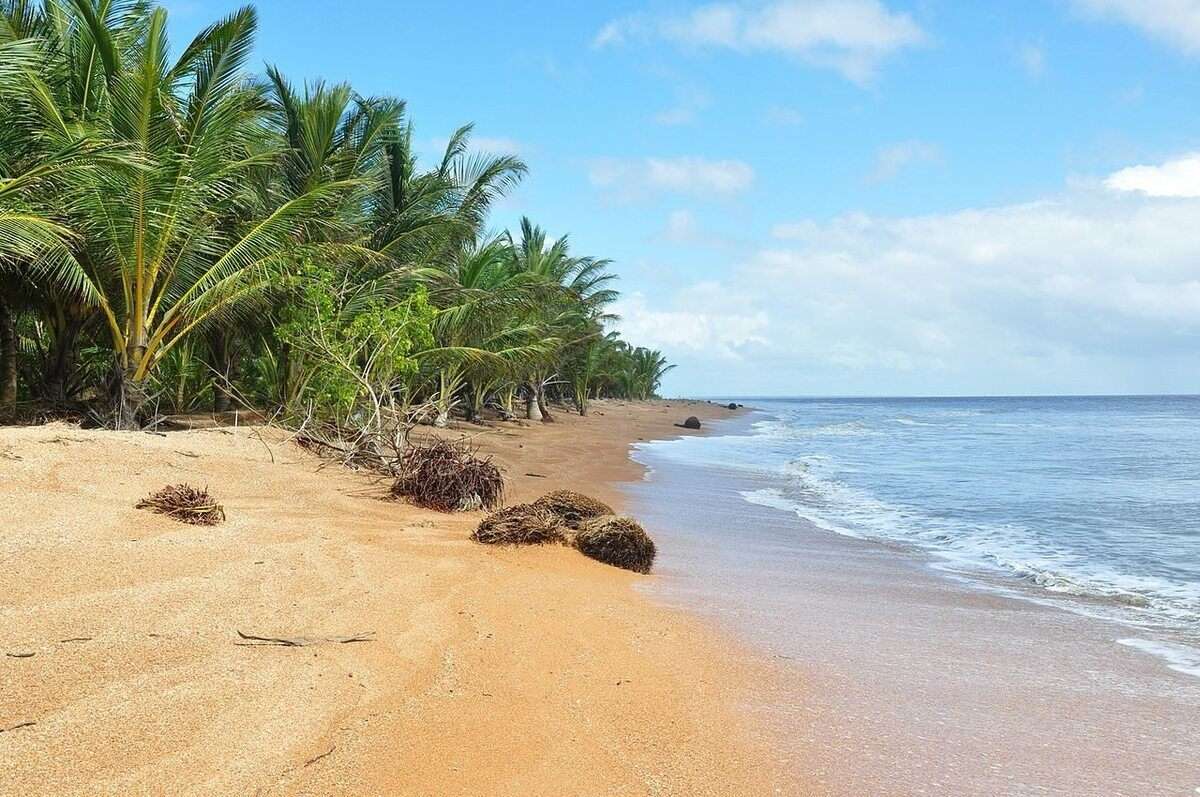 Shell Beach, Guyana