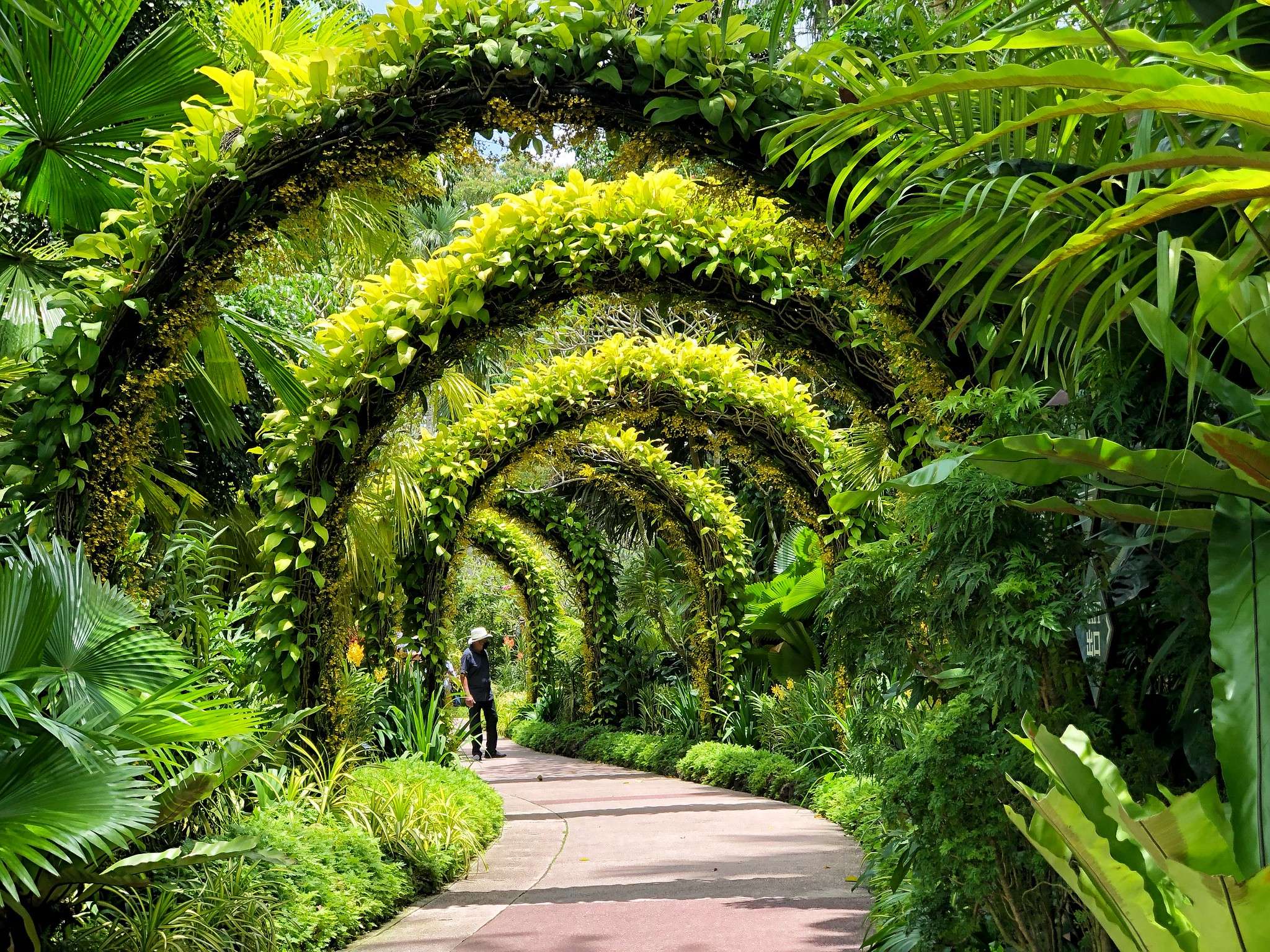 Singapore Botanic Gardens, Singapore