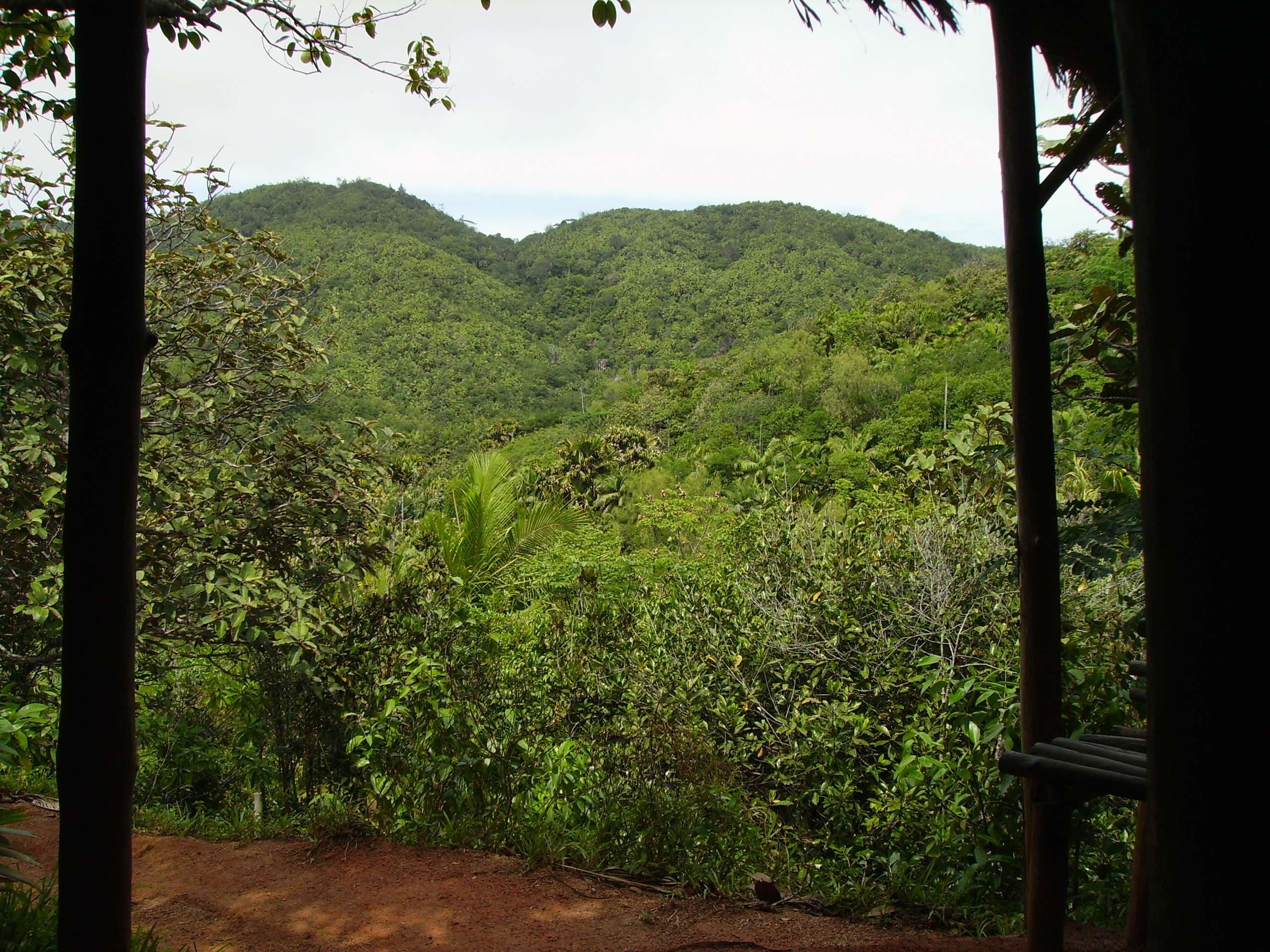 Vallée de Mai Nature Reserve, Seychelles