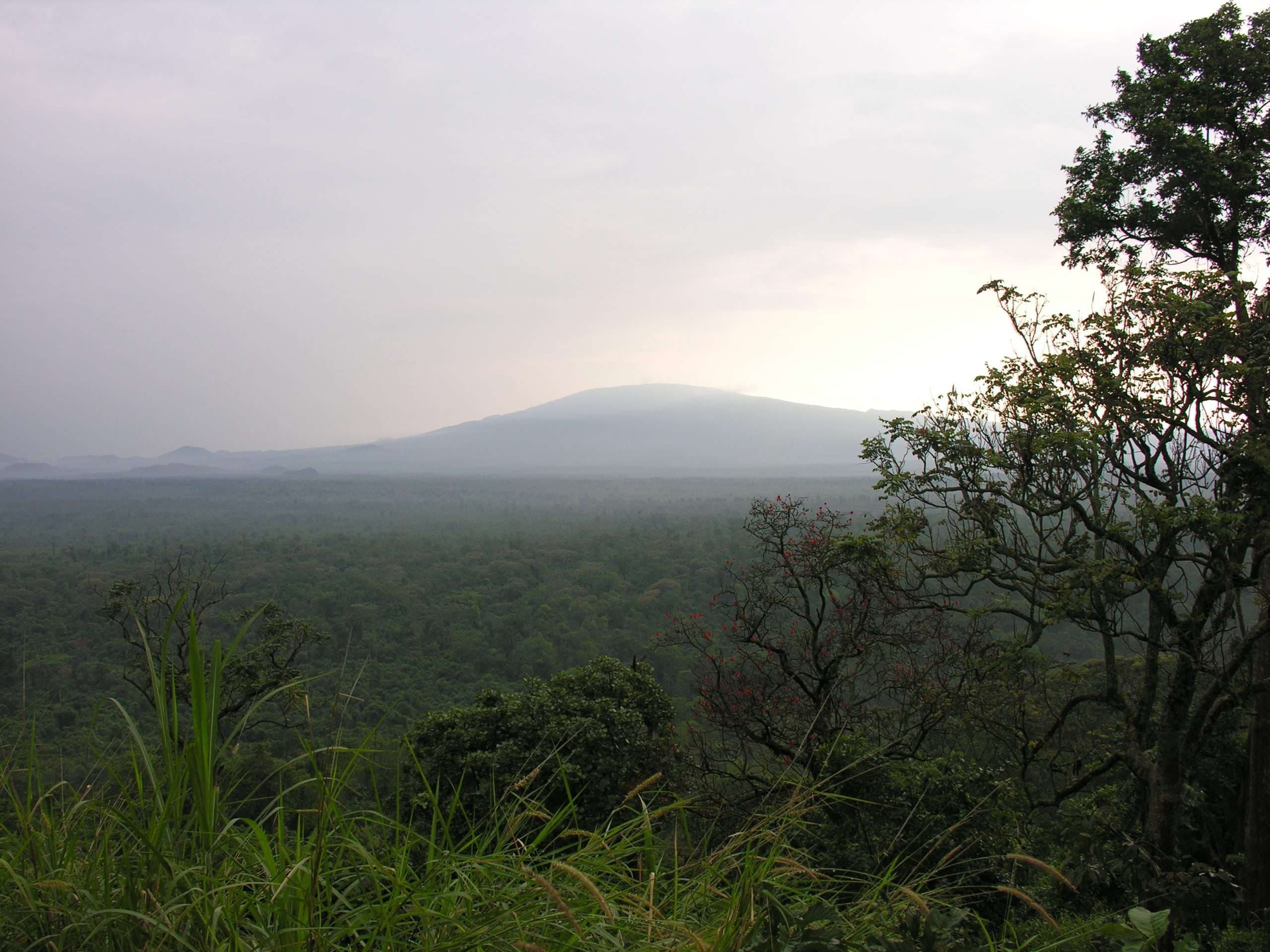Virunga National Park, Republic of the Congo