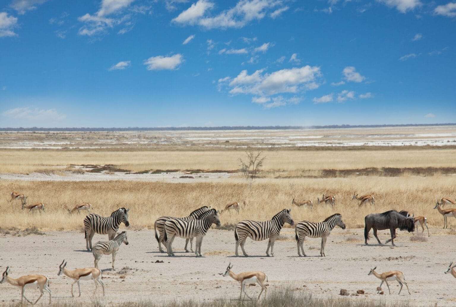 Hlane Royal National Park, Eswatini