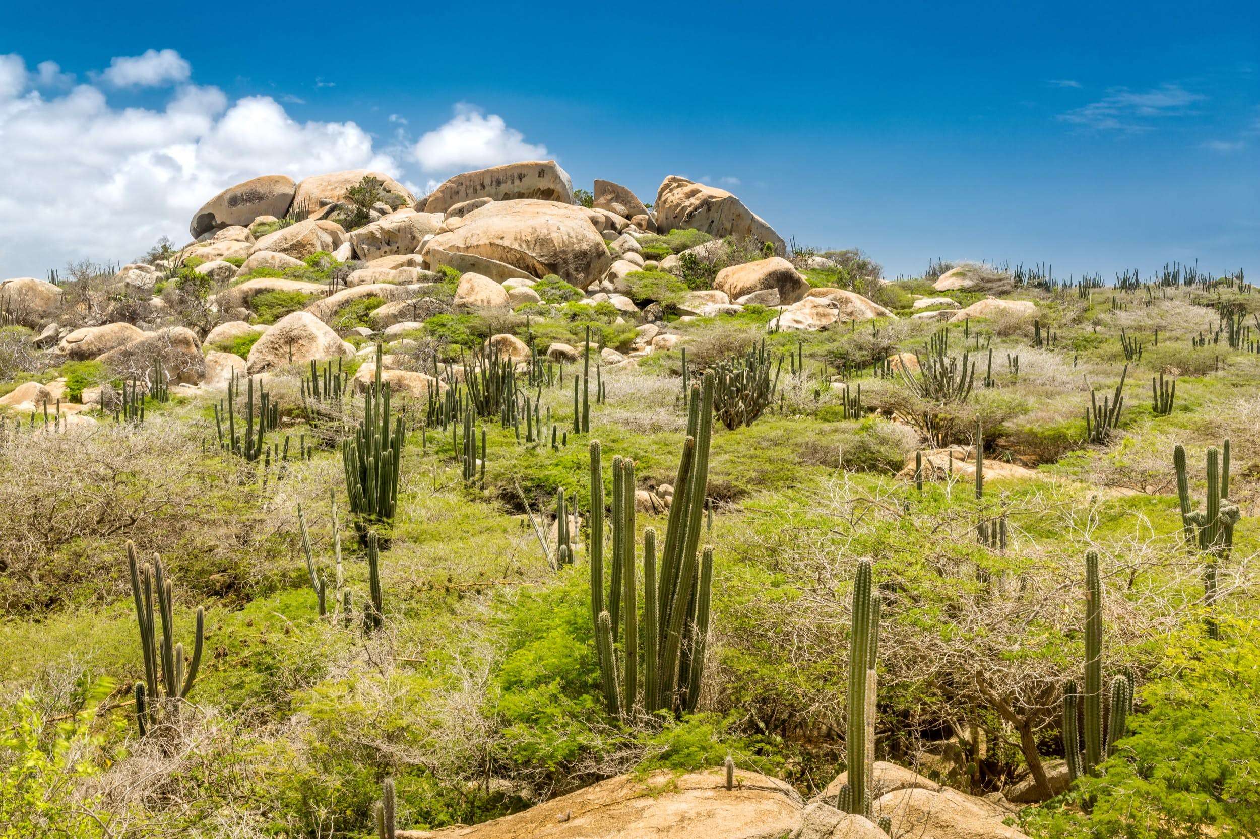 Arikok National Park, Aruba