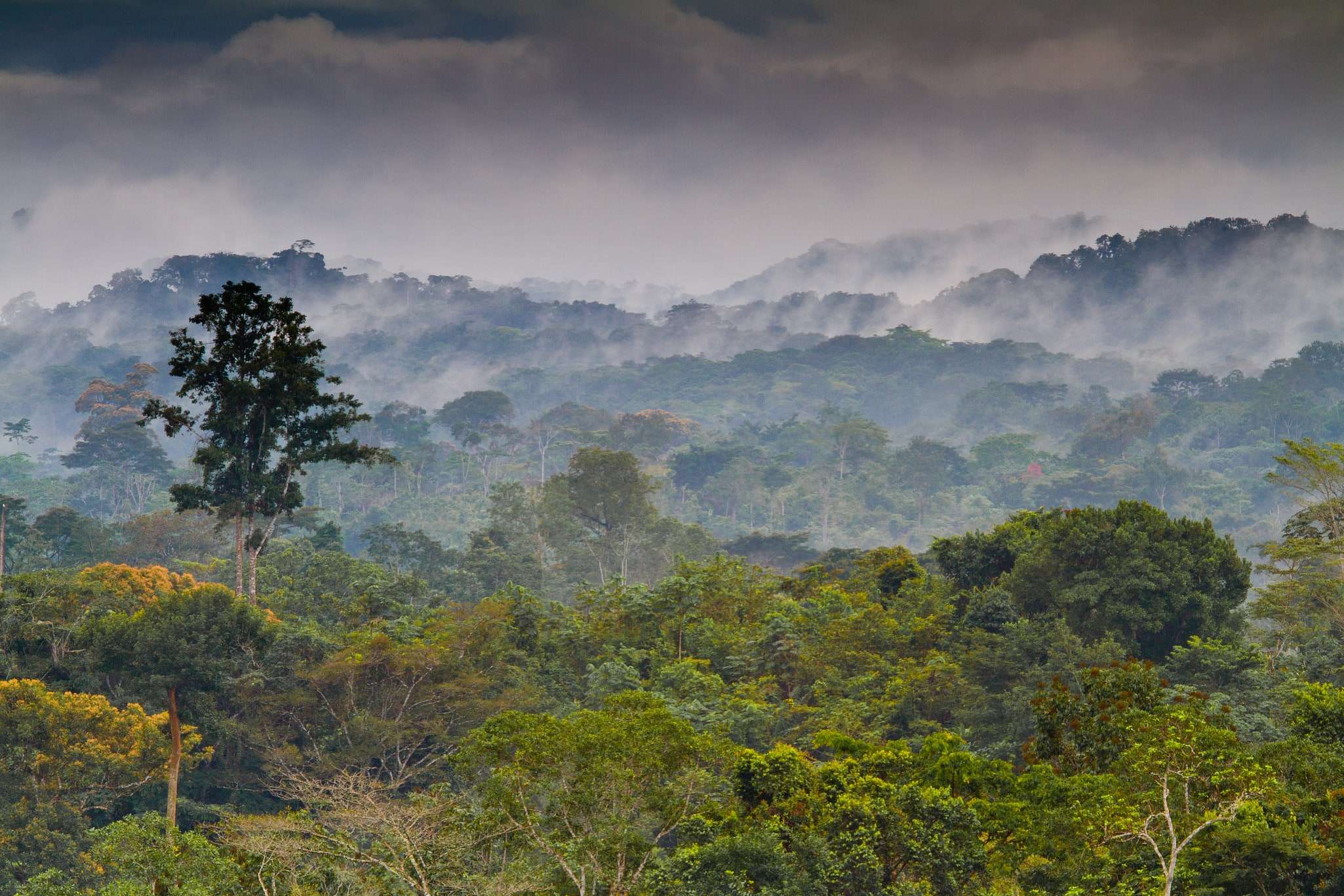 Monte Alen National Park, Equatorial Guinea
