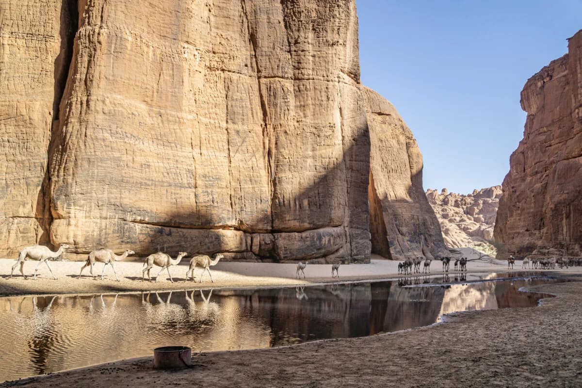 Guelta d’Archei, Chad