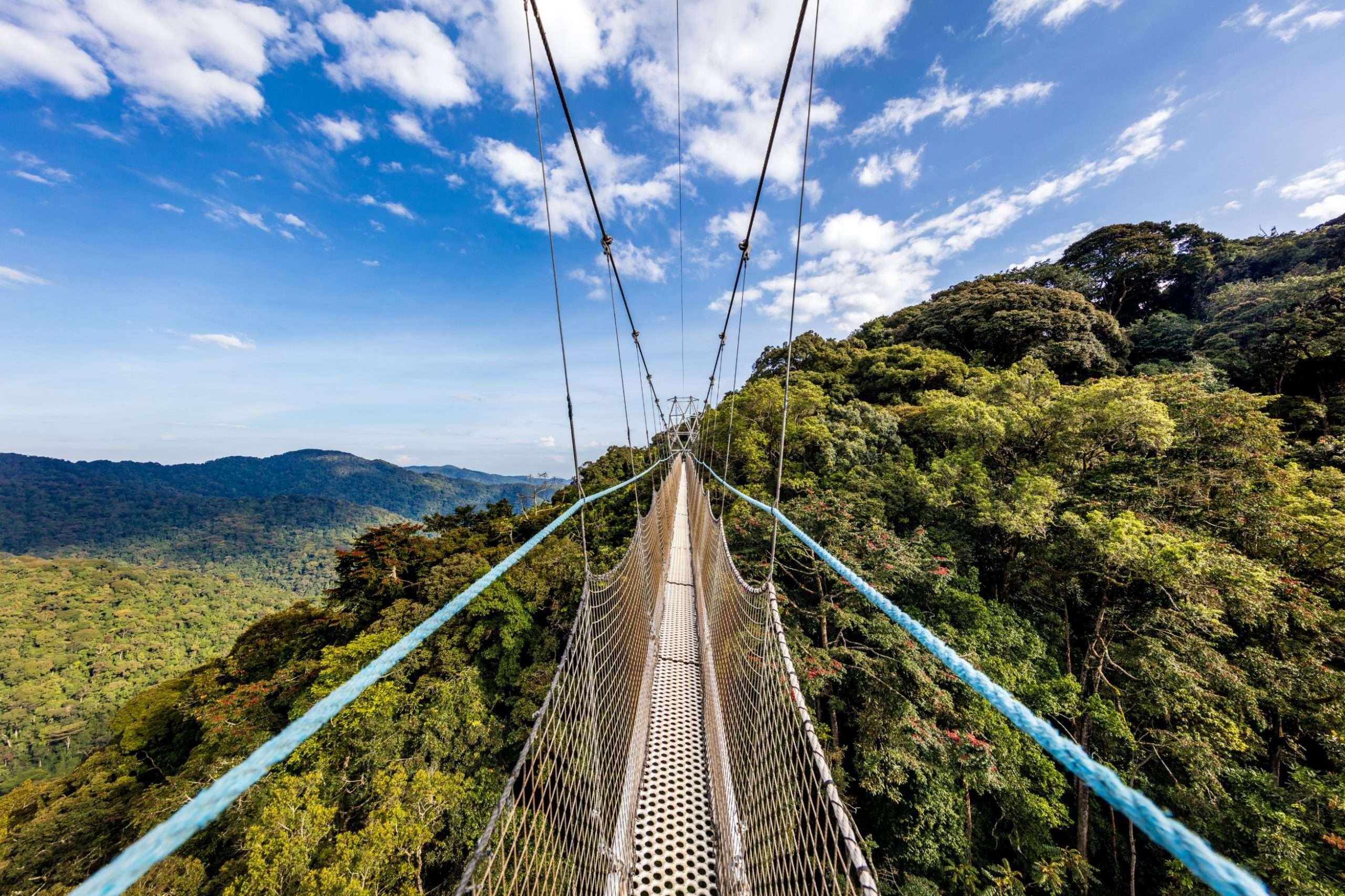 Nyungwe Forest National Park, Rwanda