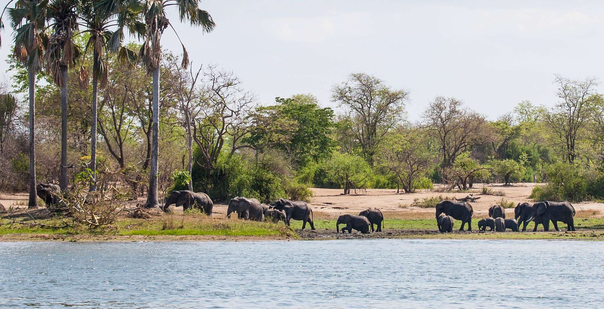 Liwonde National Park, Malawi