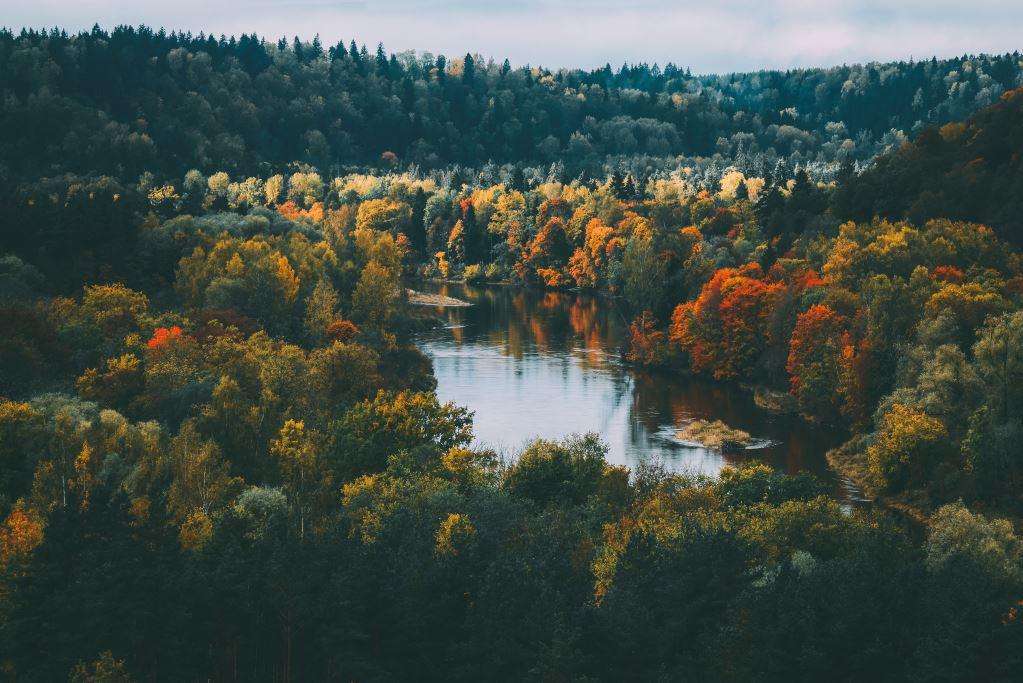 Gauja National Park, Latvia