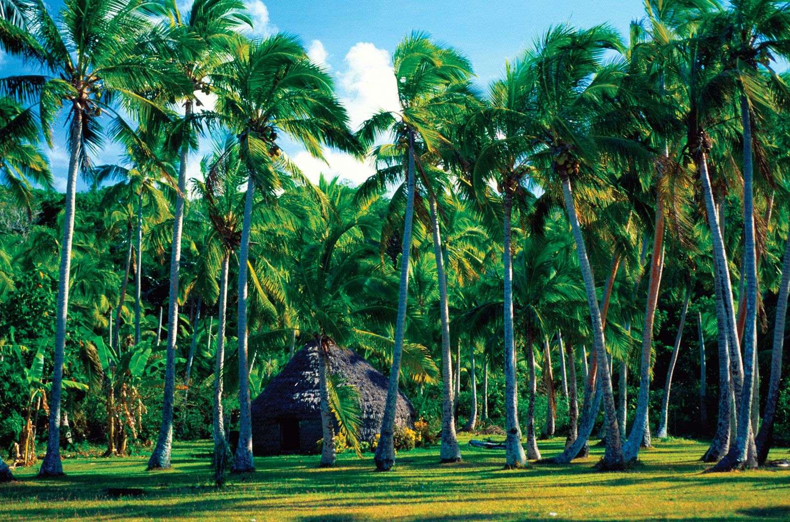 Lifou Island, New Caledonia