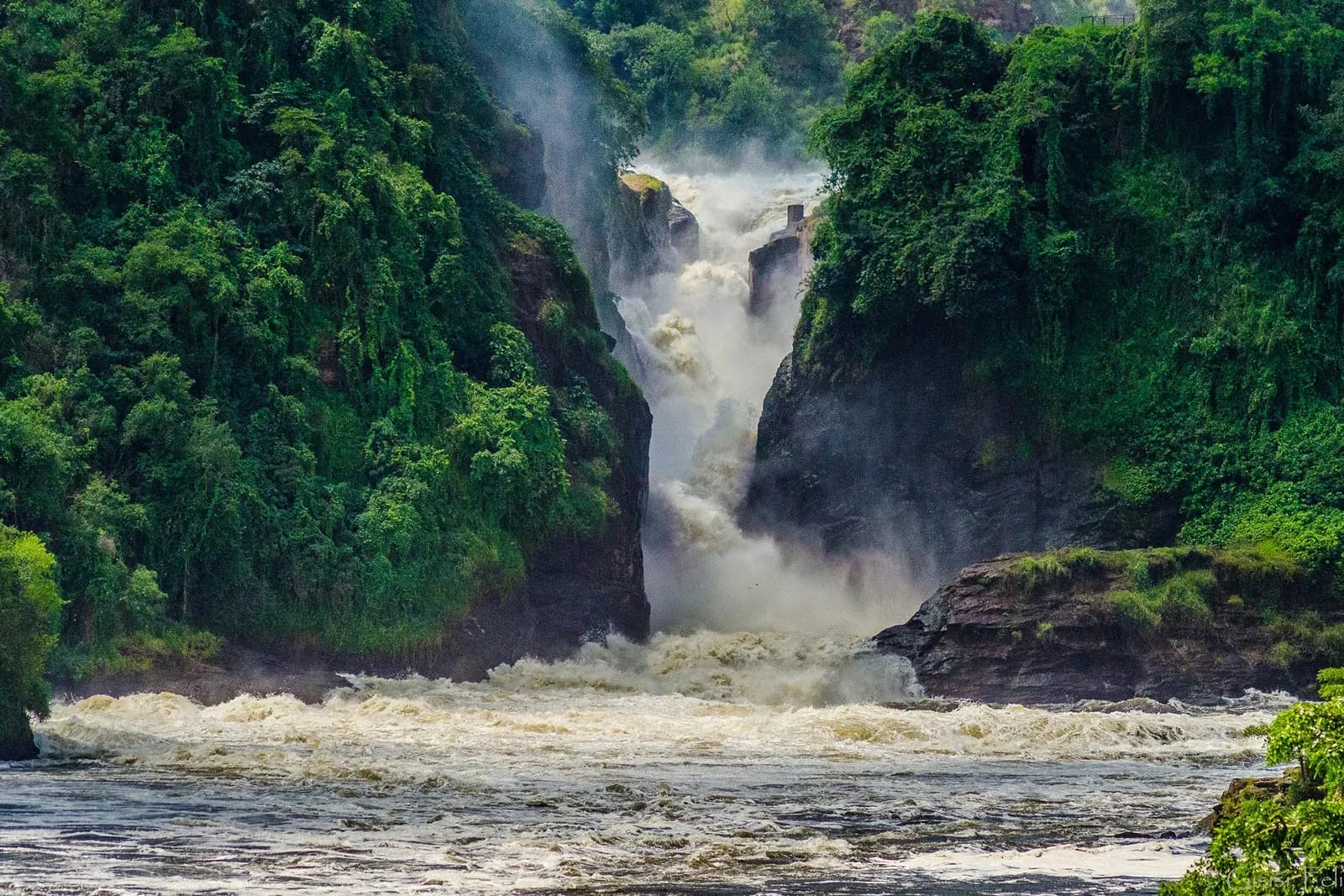 Murchison Falls National Park, Uganda