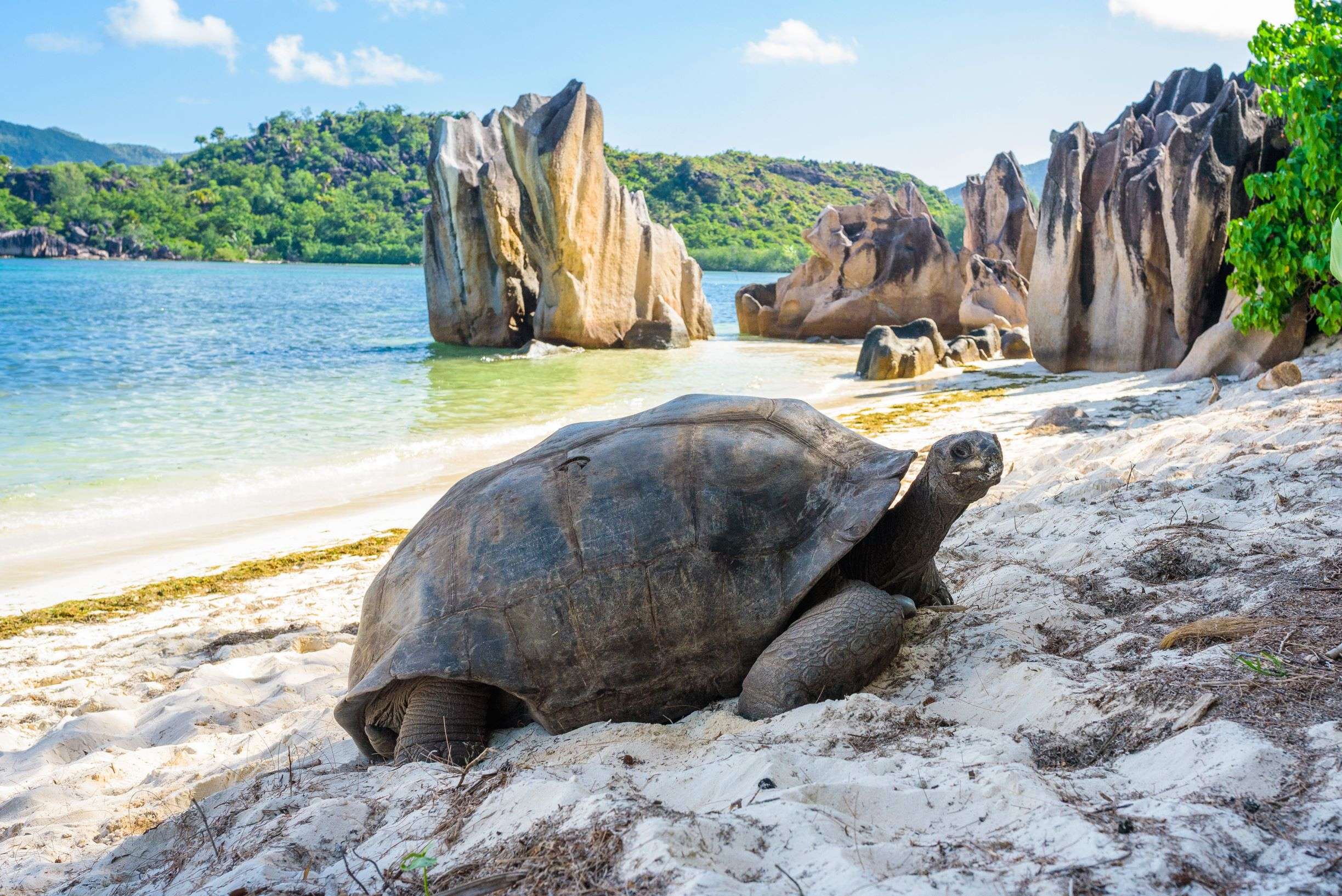 Praslin Island, Seychelles