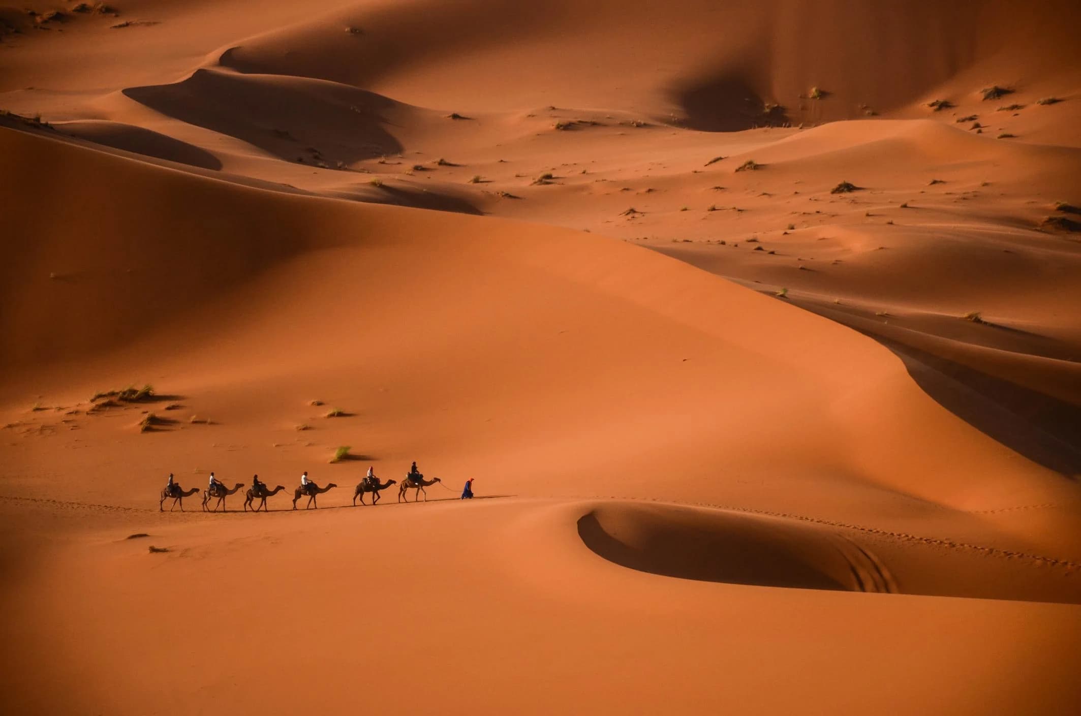 Sahara Desert, Morocco