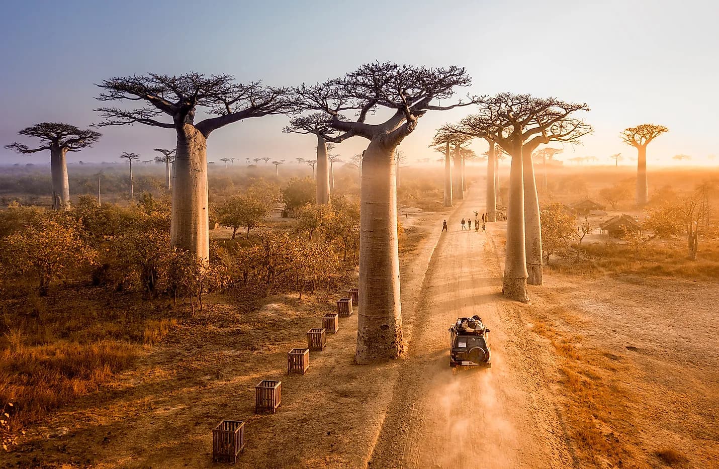 Baobab Alley, Madagascar