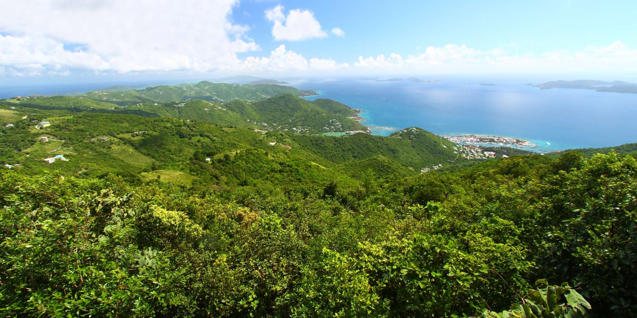 Sage Mountain National Park, British Virgin Islands