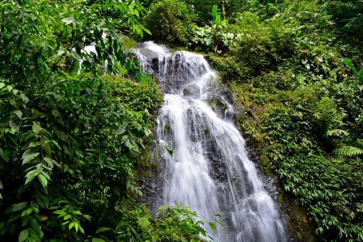 Brownsberg Nature Park, Suriname