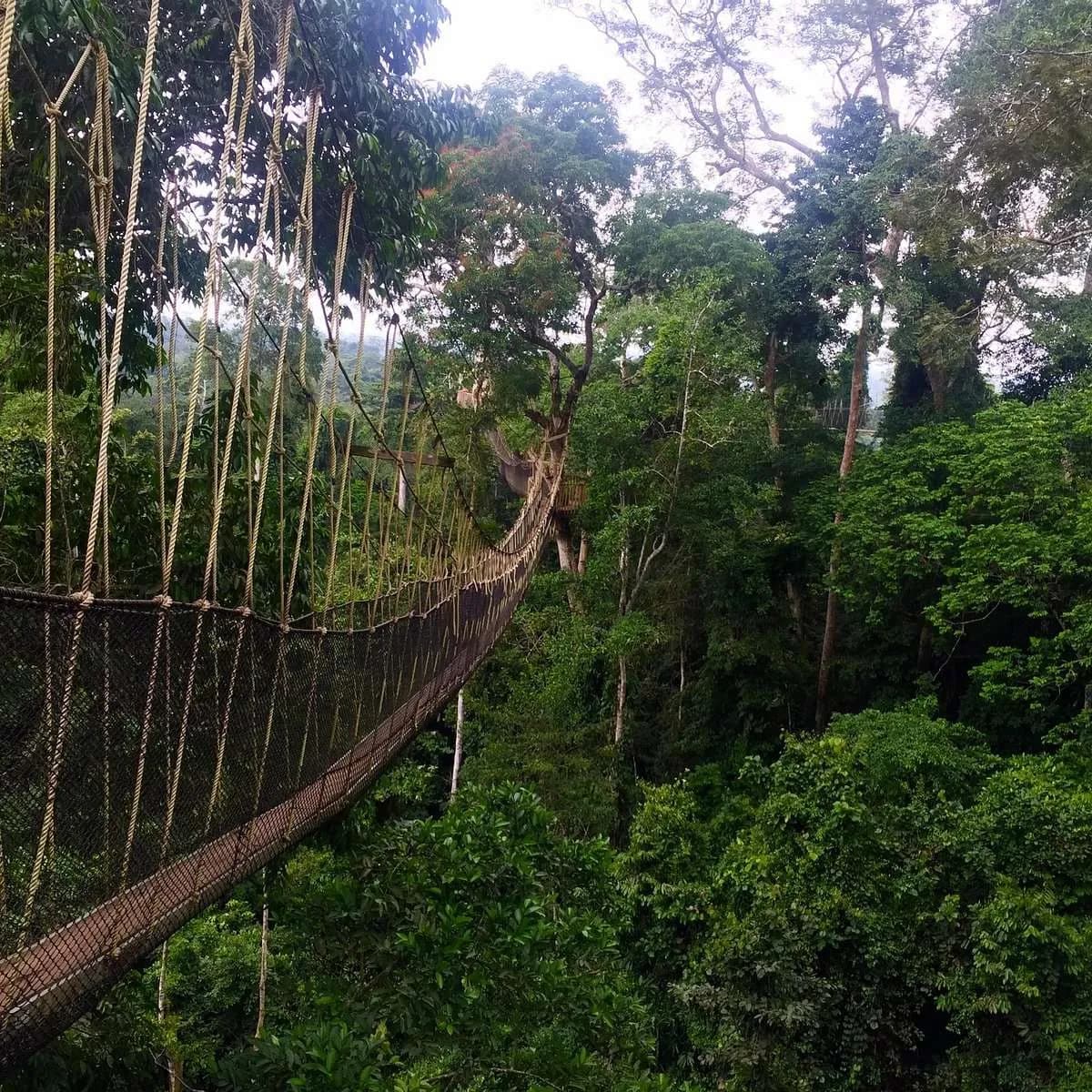 Kakum National Park, Ghana