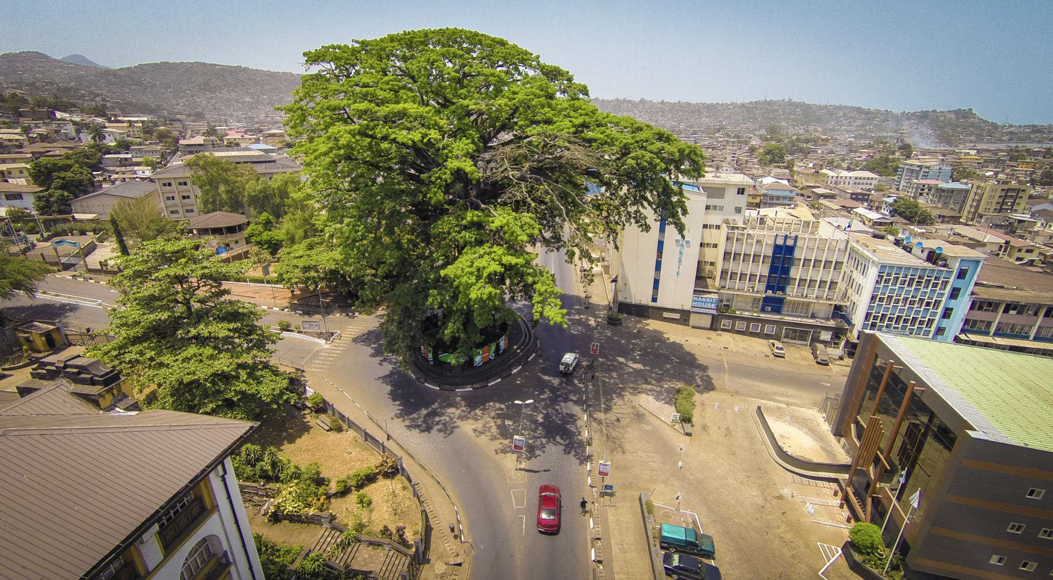 Cotton Tree, Sierra Leone
