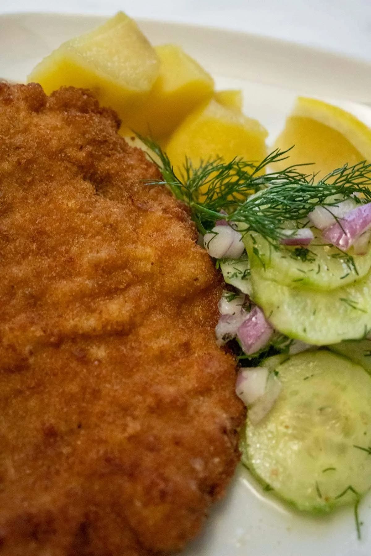 Schnitzel (breaded meat)