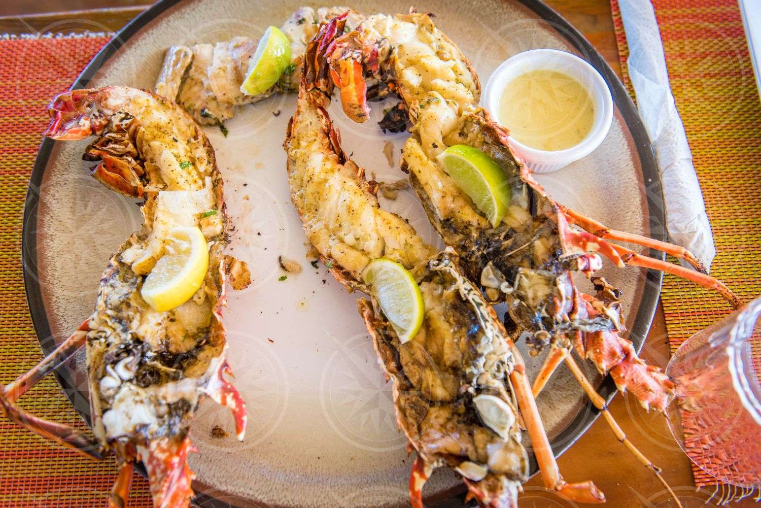 Crayfish