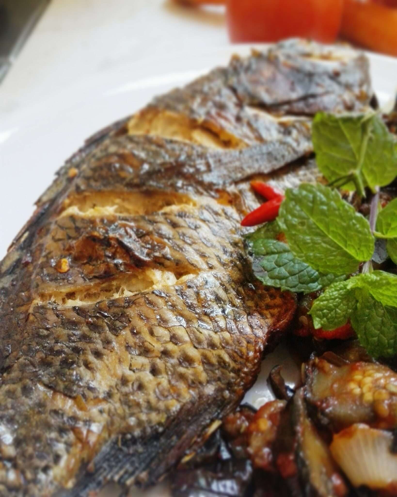 Grilled Tilapia