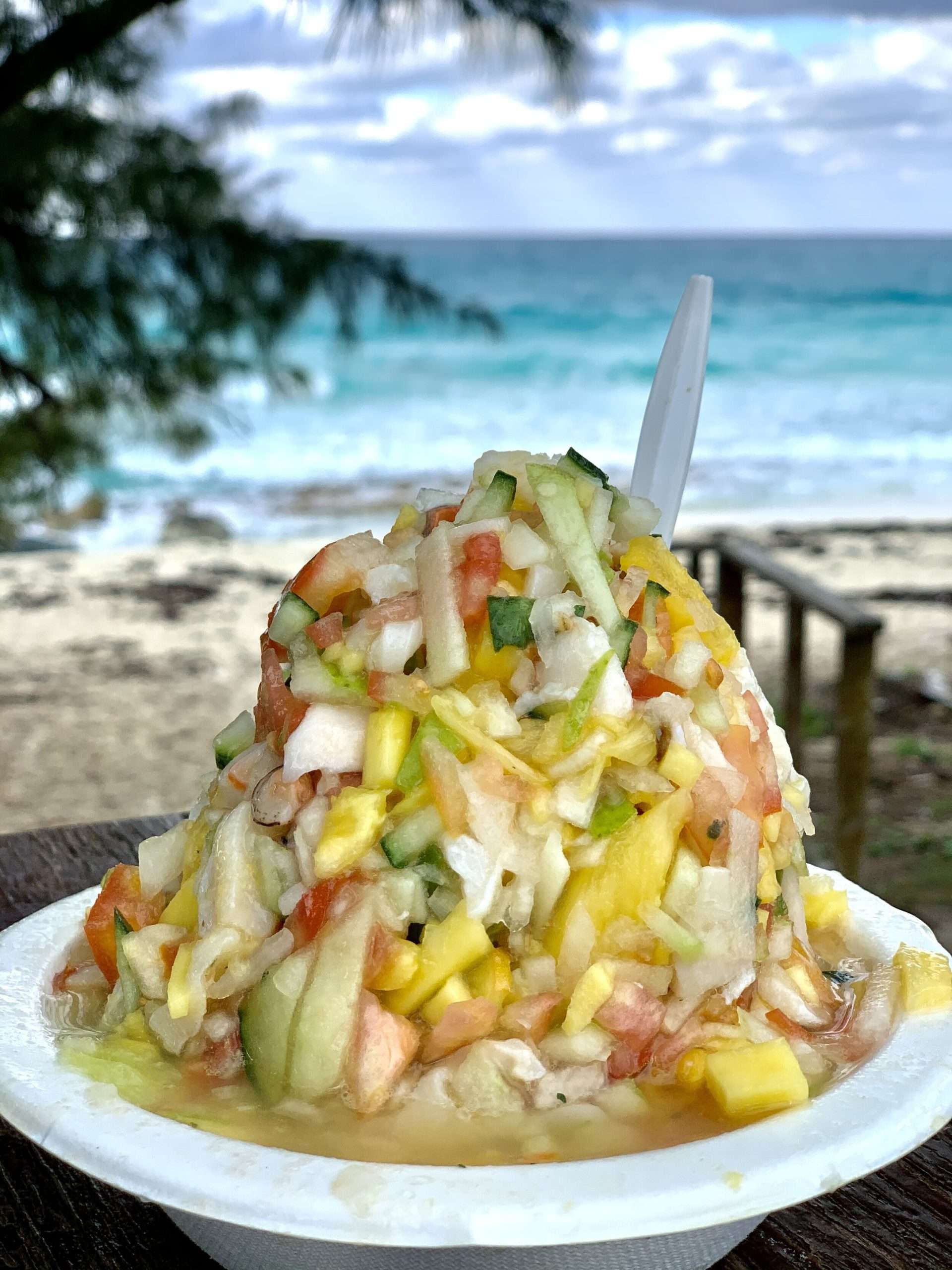 Conch salad