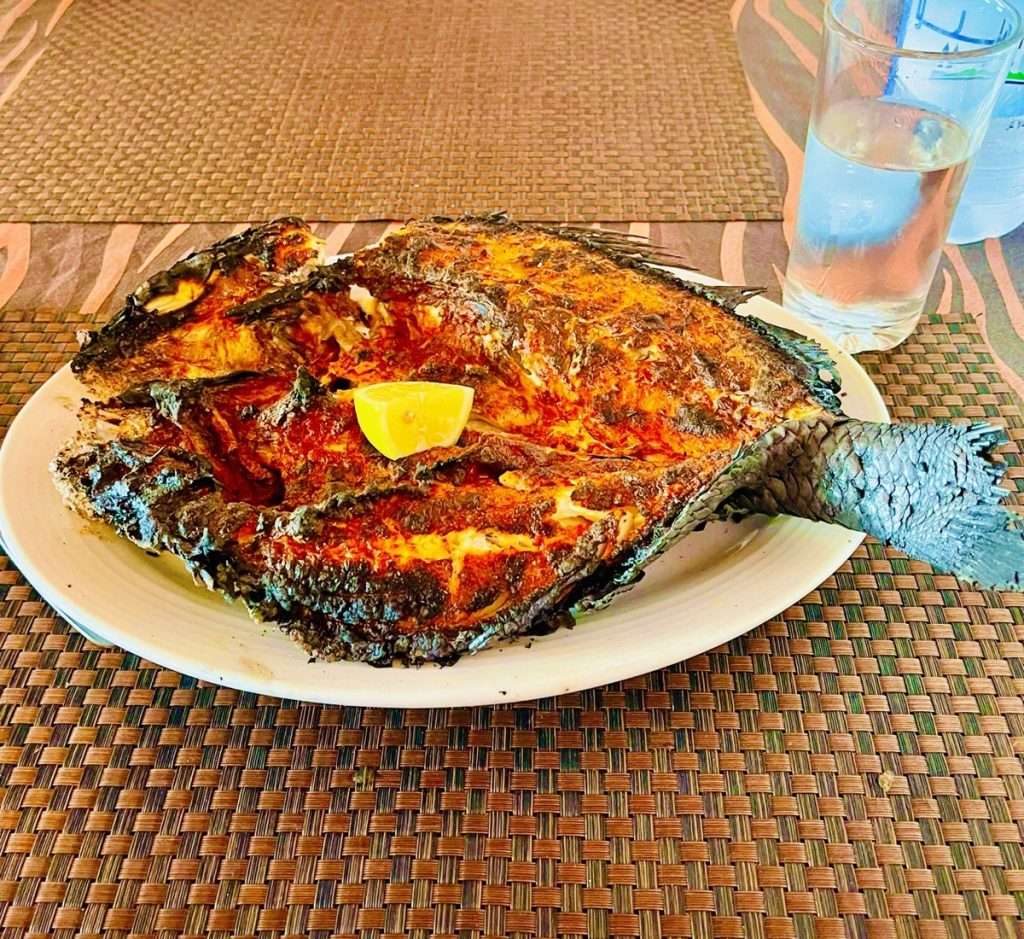 Yemeni fish