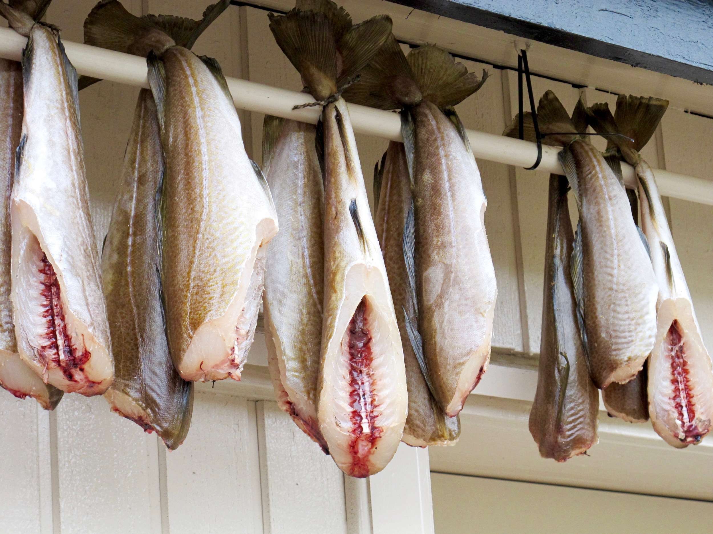 Ræst kjøt (fermented mutton)