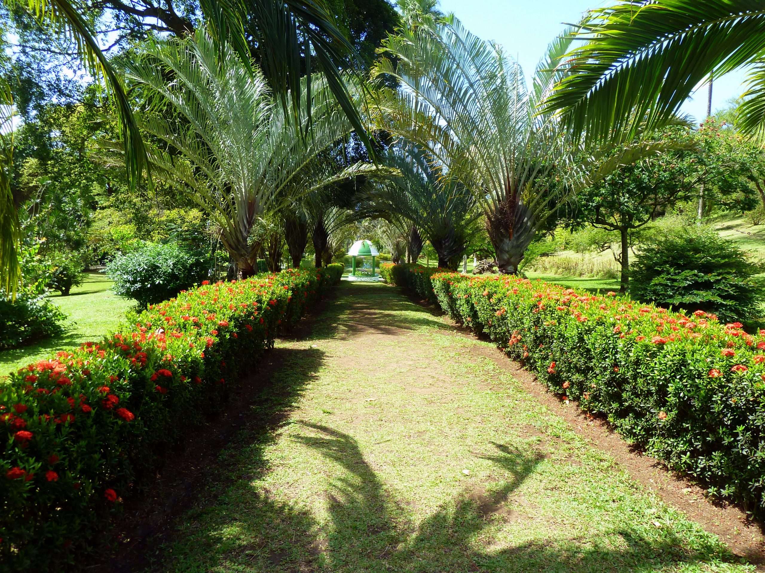 Botanic Gardens, St Vincent & the Grenadines