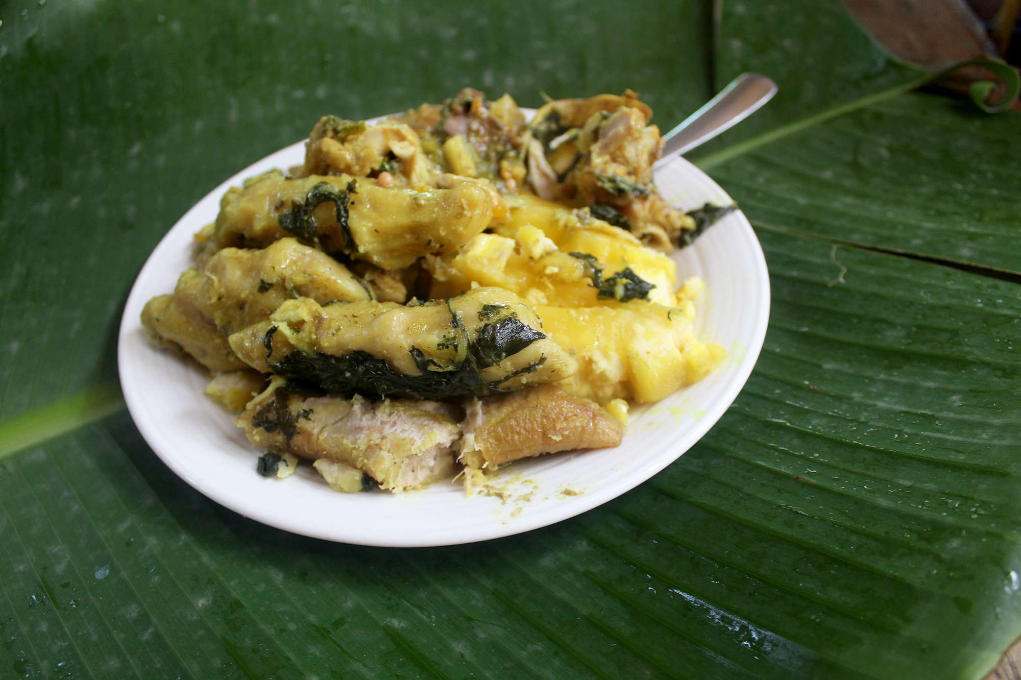 Oil Down (one-pot dish with breadfruit, salted meat, and spices)