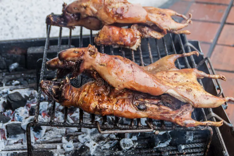 Roast Pig